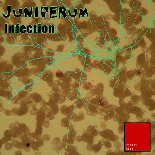 Juniperum - Infection