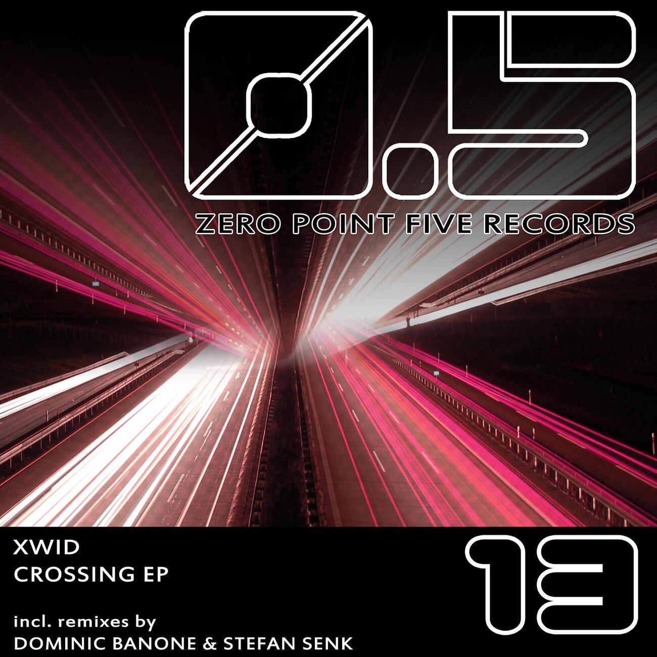 Xwid - Xtasy (Dominic Banone Remix)
