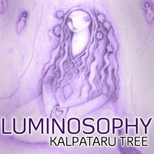 Постер альбома Luminosophy