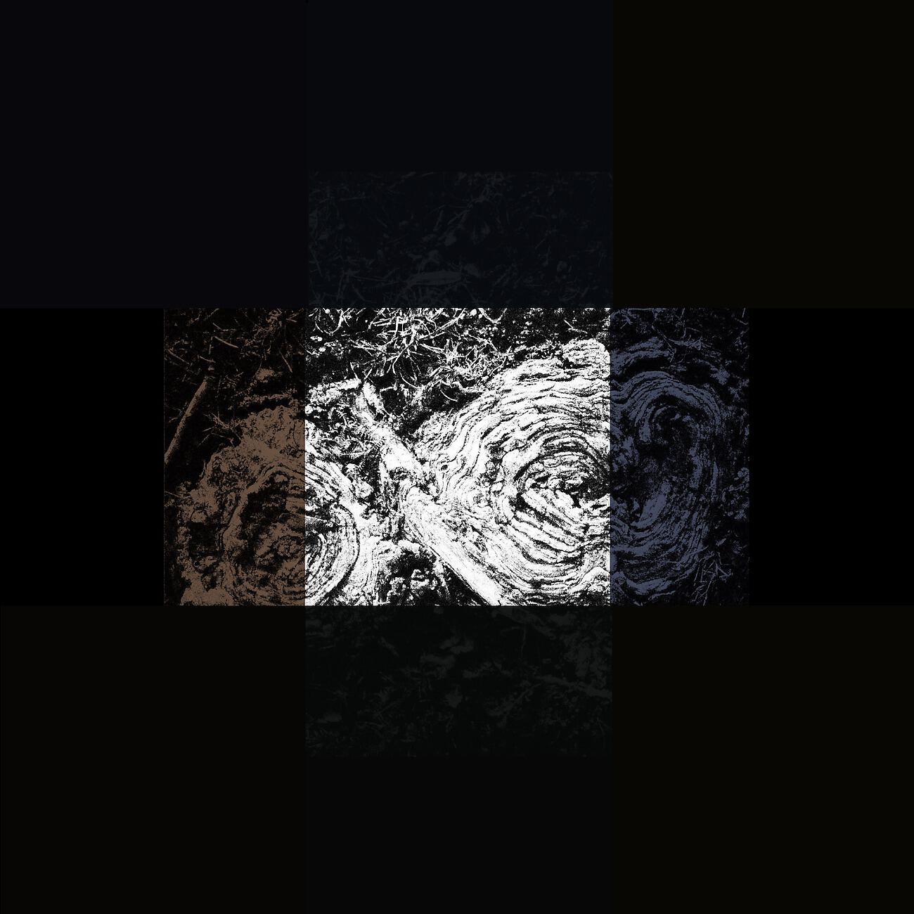 Tim Jackman - Ultrasound