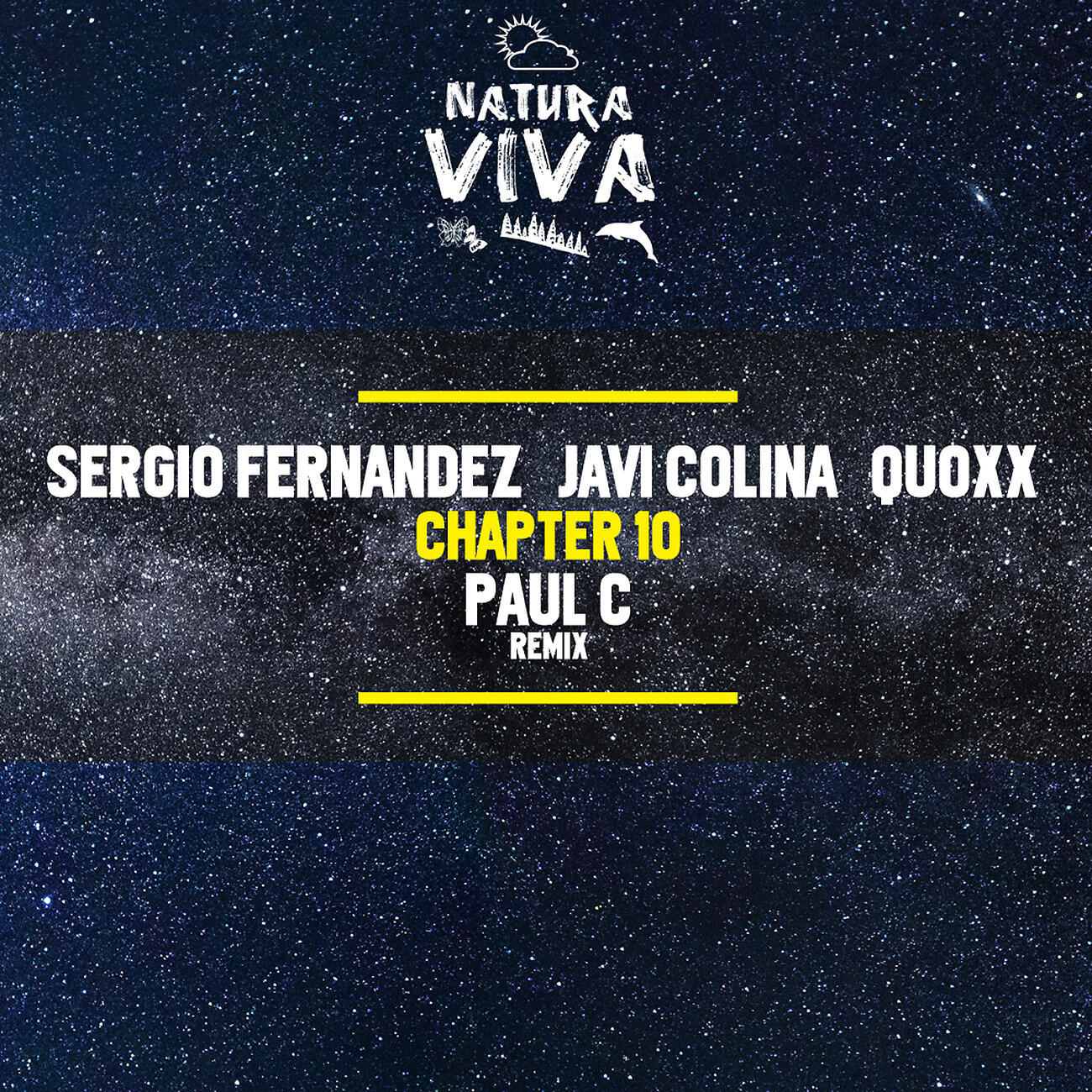 Sergio Fernandez - Maracanà