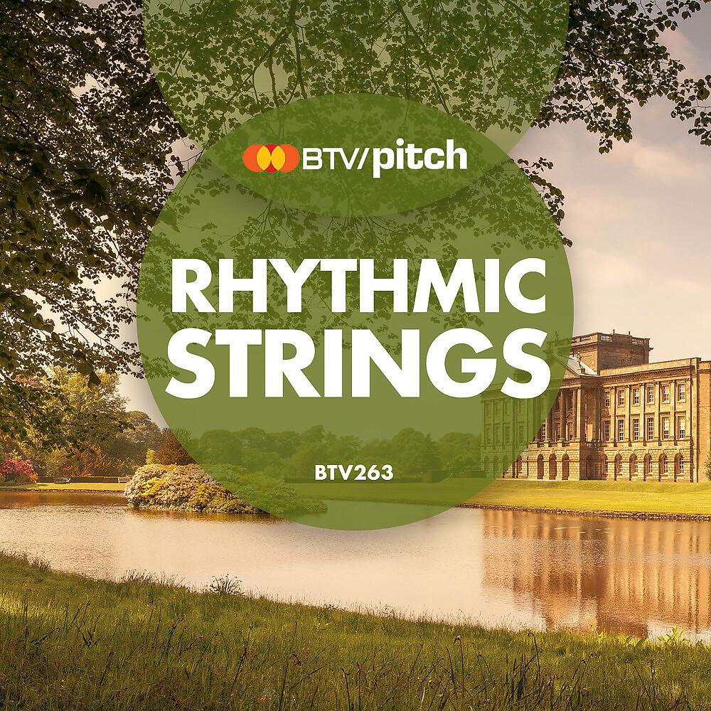 Постер альбома Rhythmic Strings