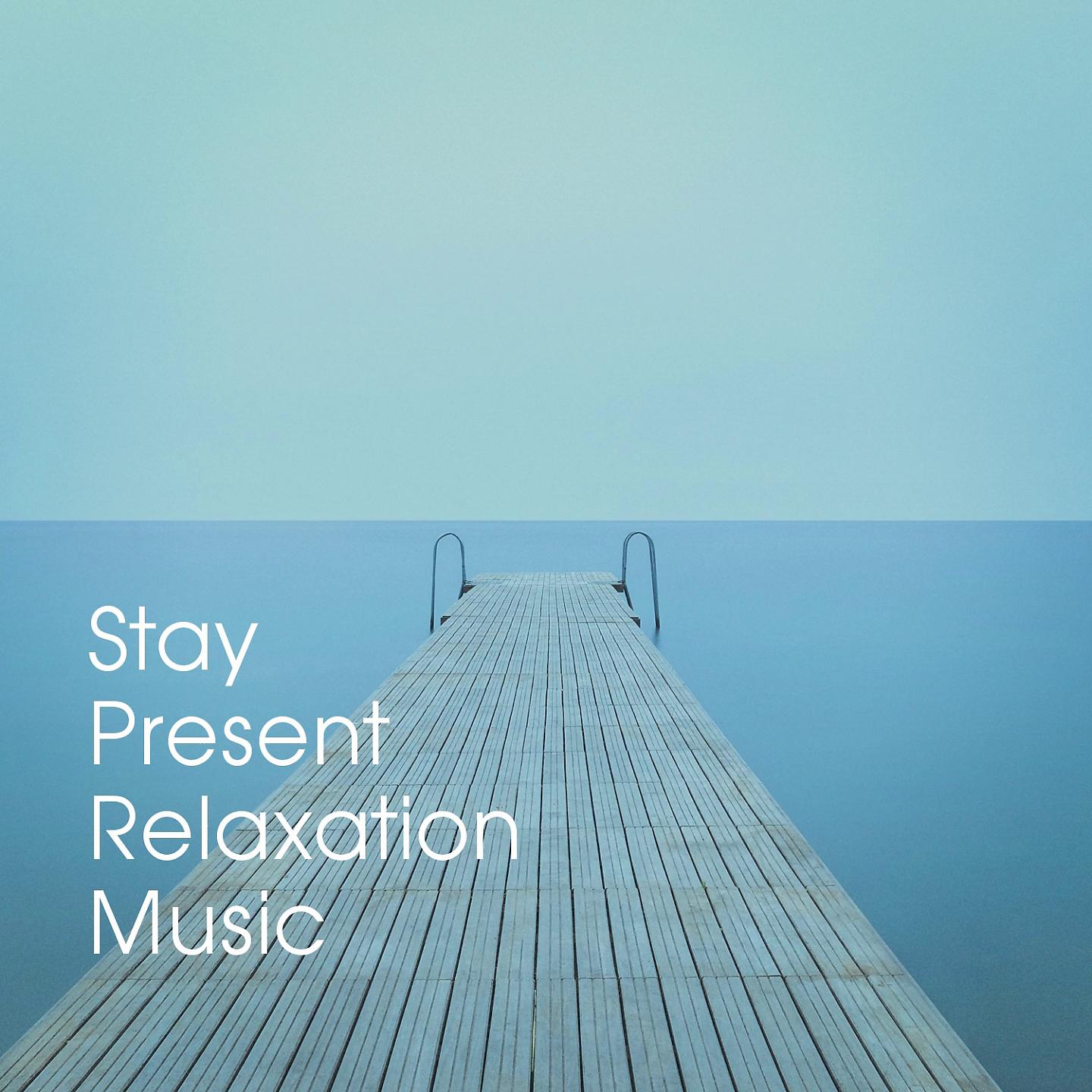 Постер альбома Stay Present Relaxation Music