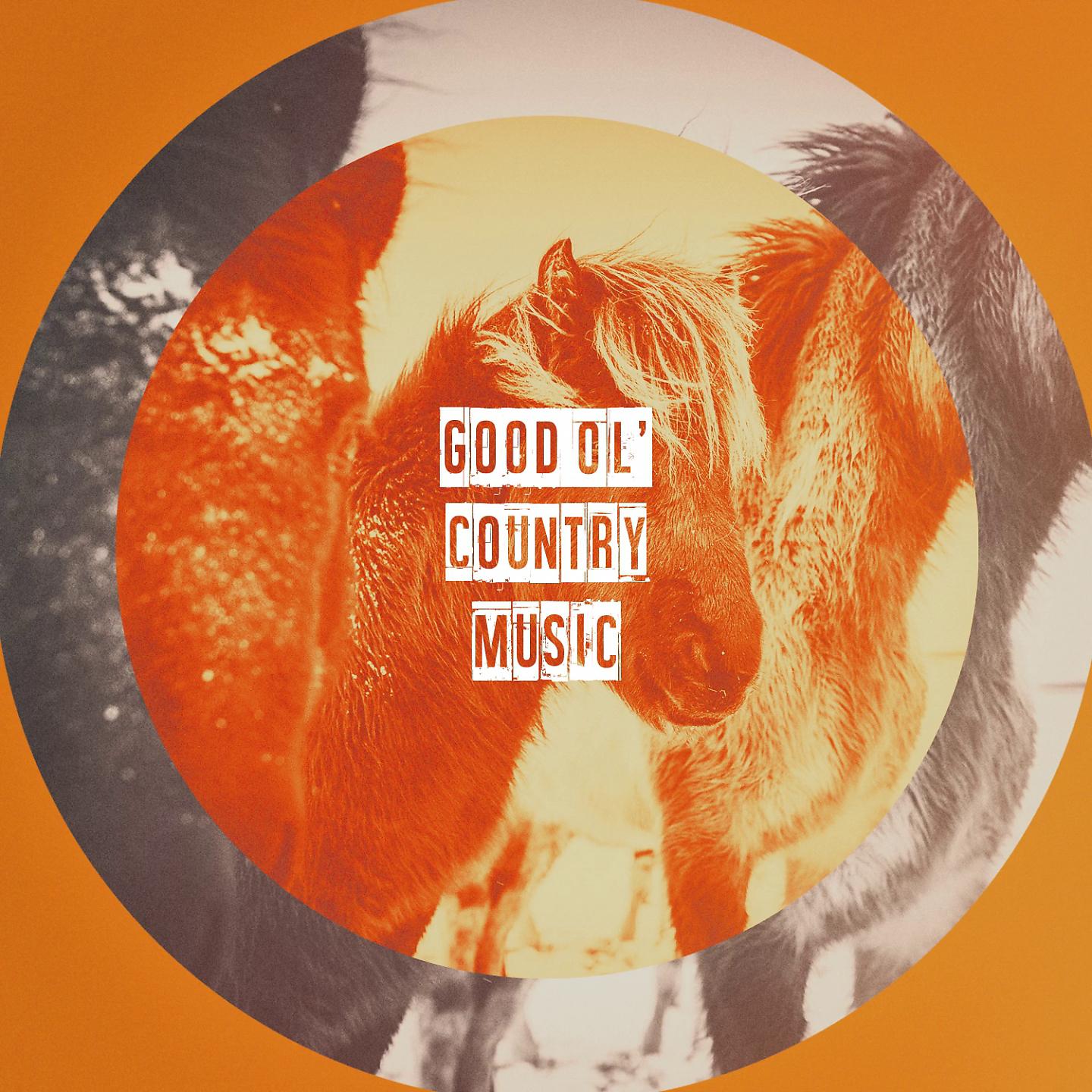 Постер альбома Good Ol' Country Music