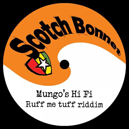 Mungo's Hi Fi - Culture Mi Vote