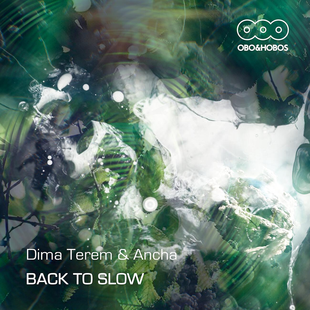 Dima Terem - Time Lapse
