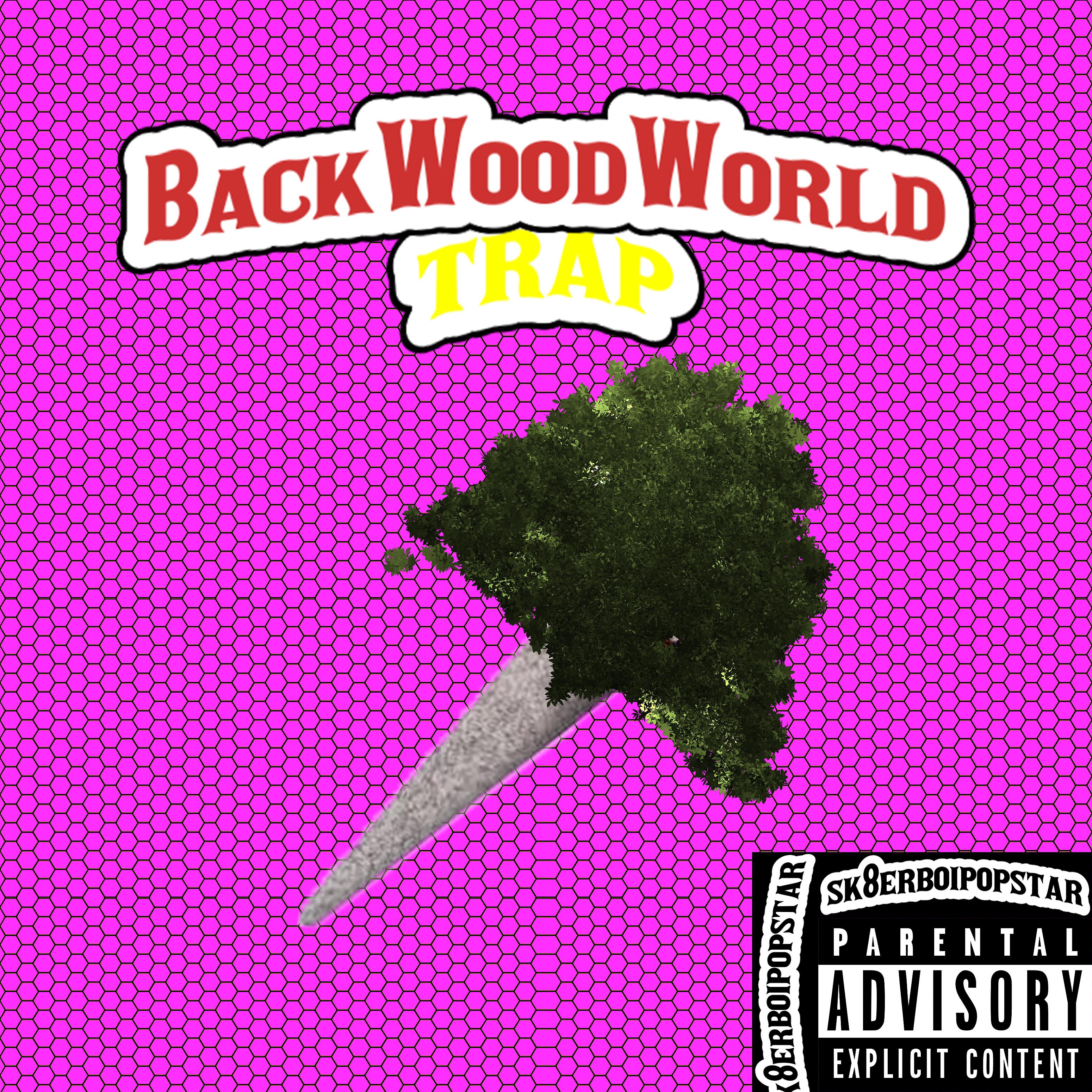 Постер альбома Backwoodworld