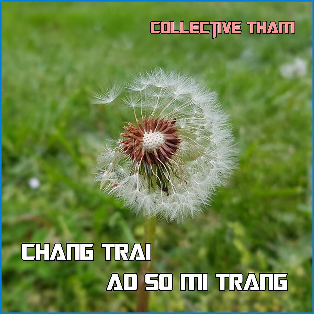 Collective Tham - Dung Cho Anh Lam Gi
