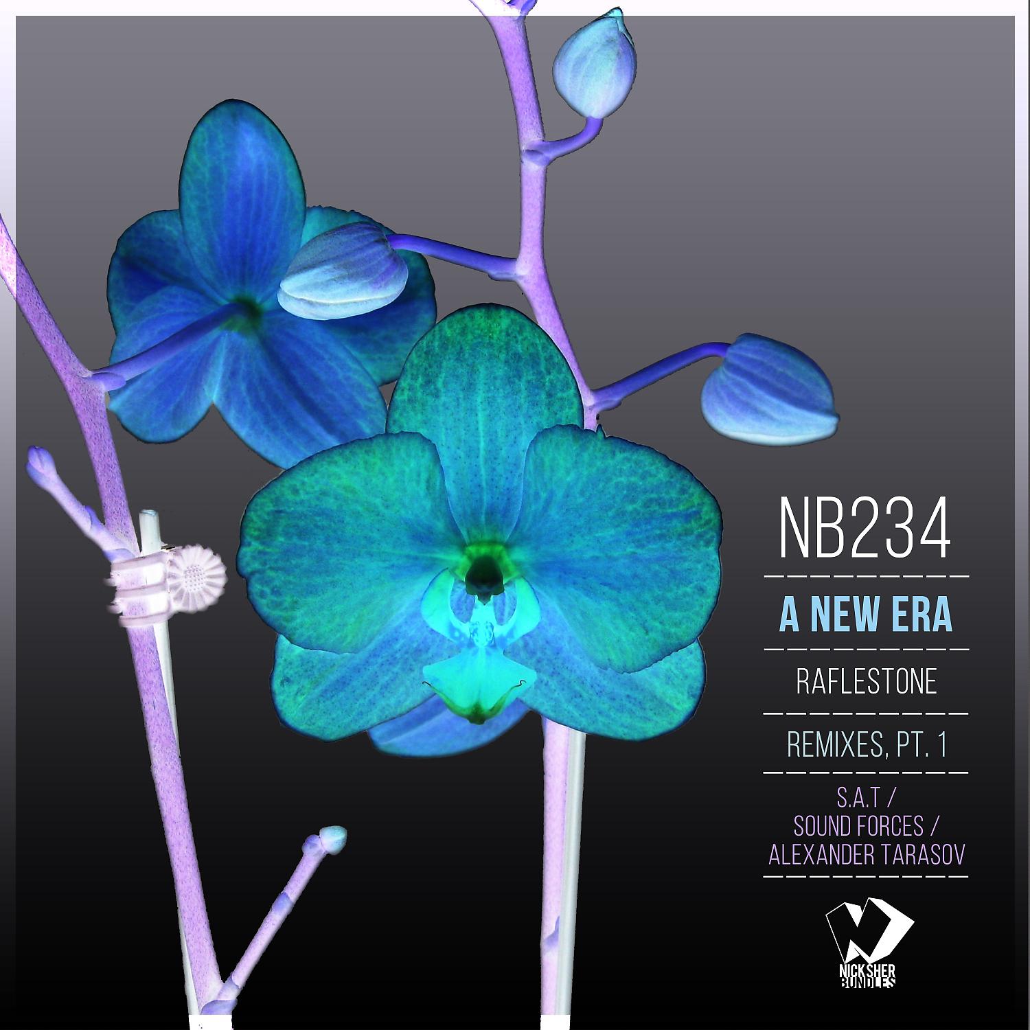Постер альбома A New Era: Remixes, Pt. 1