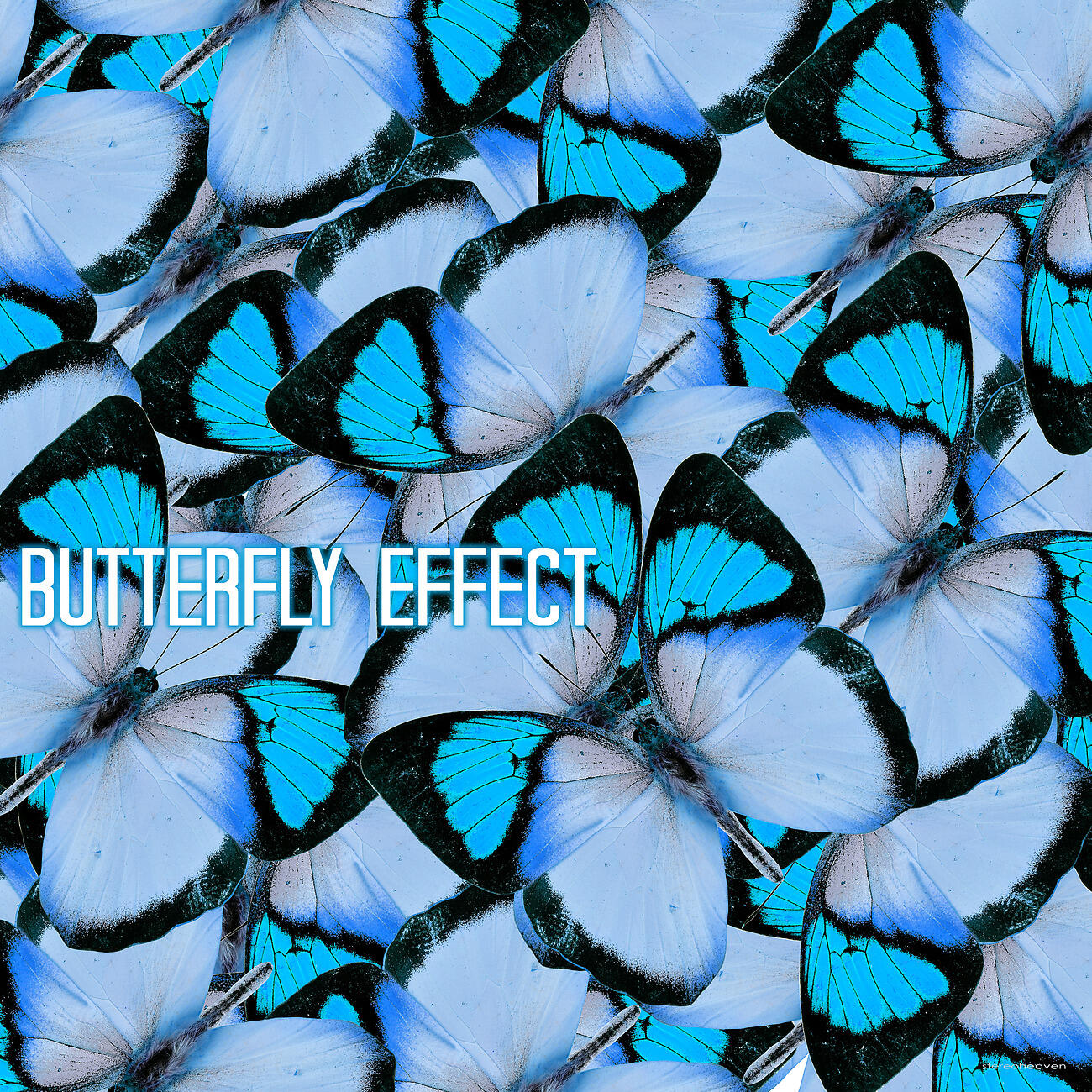 Hipster Aura - Translational Motion