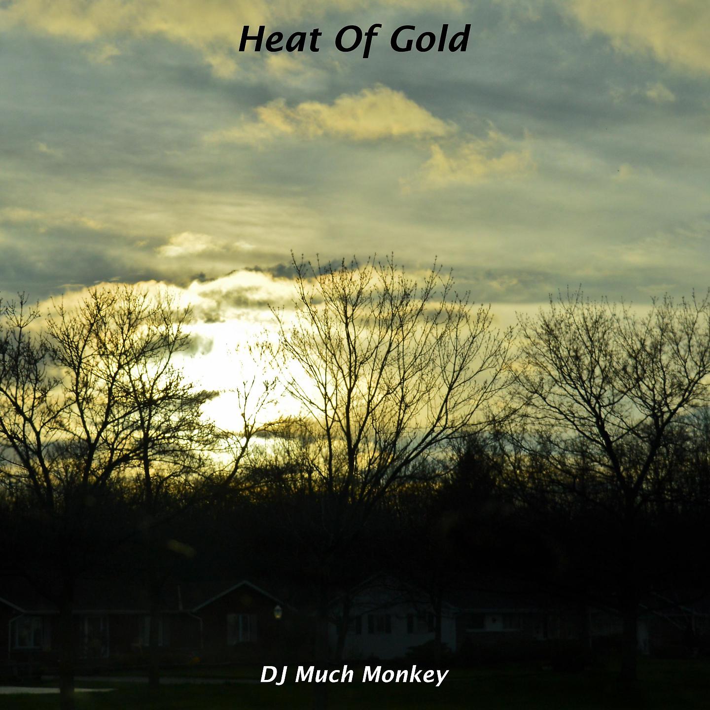 Постер альбома Heat Of Gold