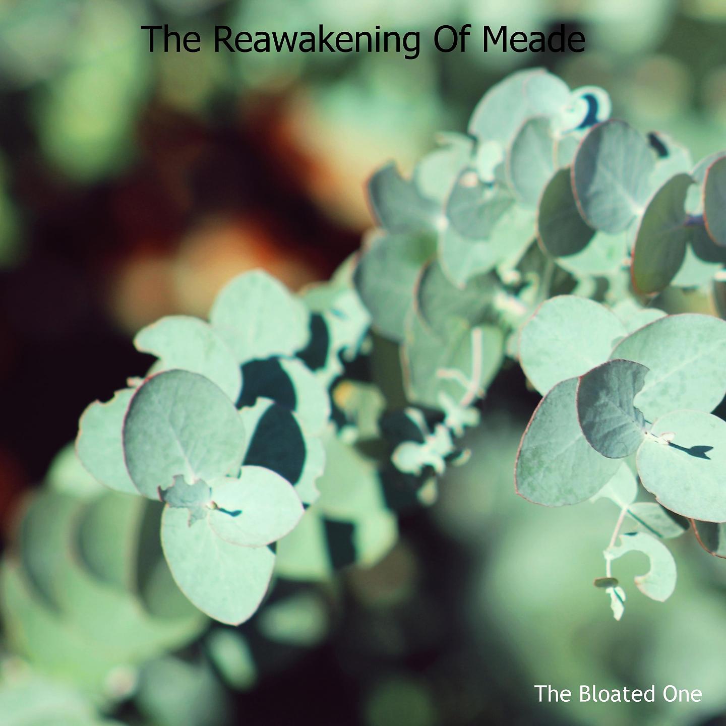 Постер альбома The Reawakening Of Meade