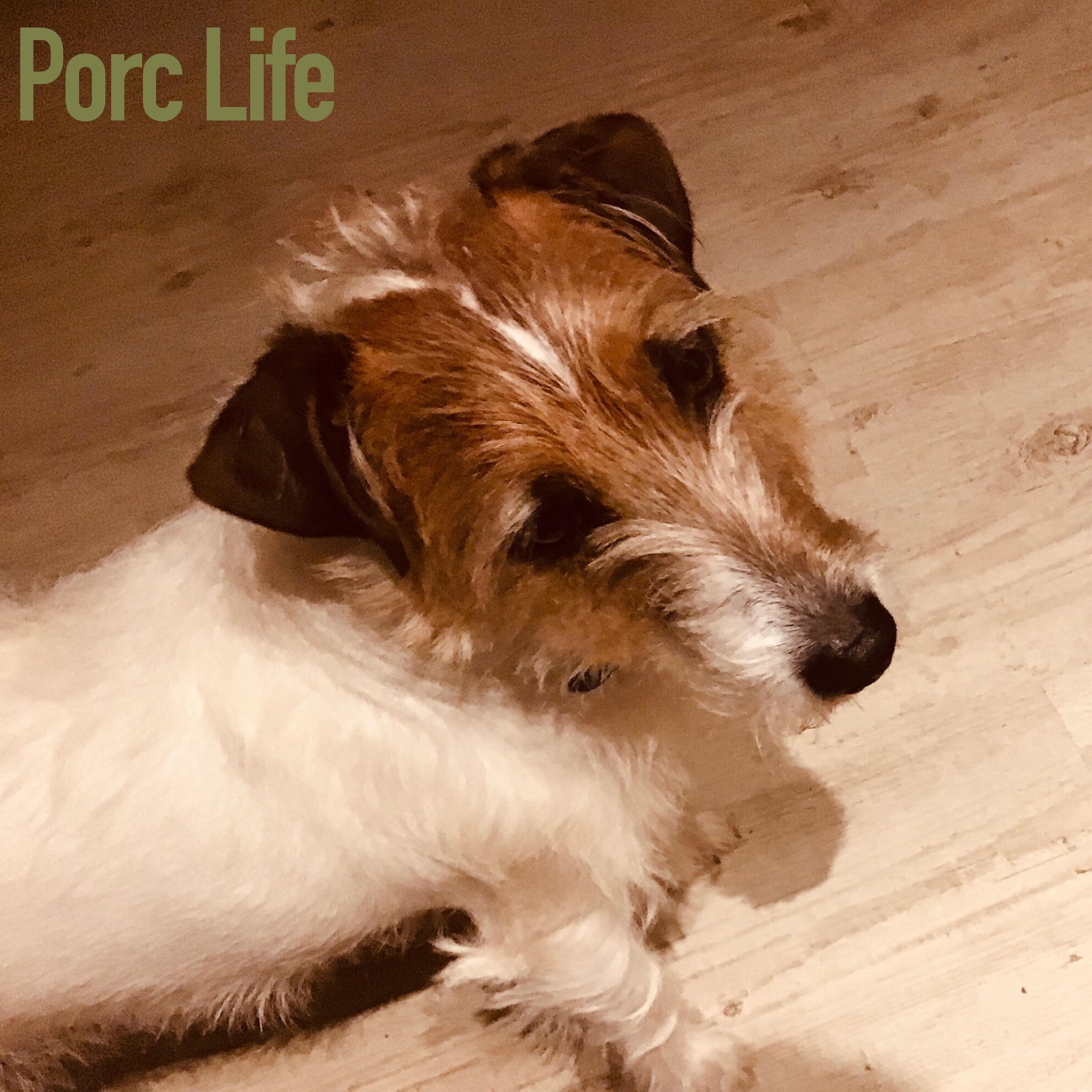 Migporc - A Porc Life