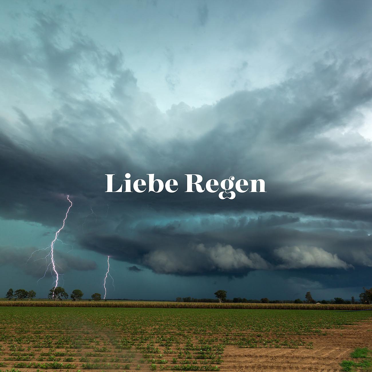 Постер альбома Liebe Regen