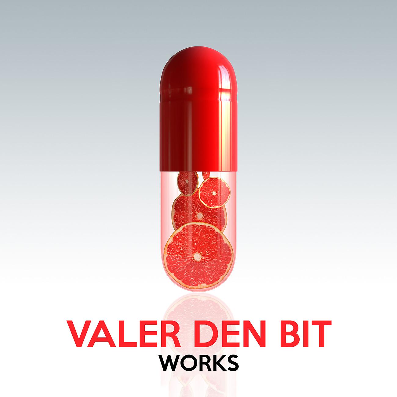 Постер альбома Valer Den Bit Works