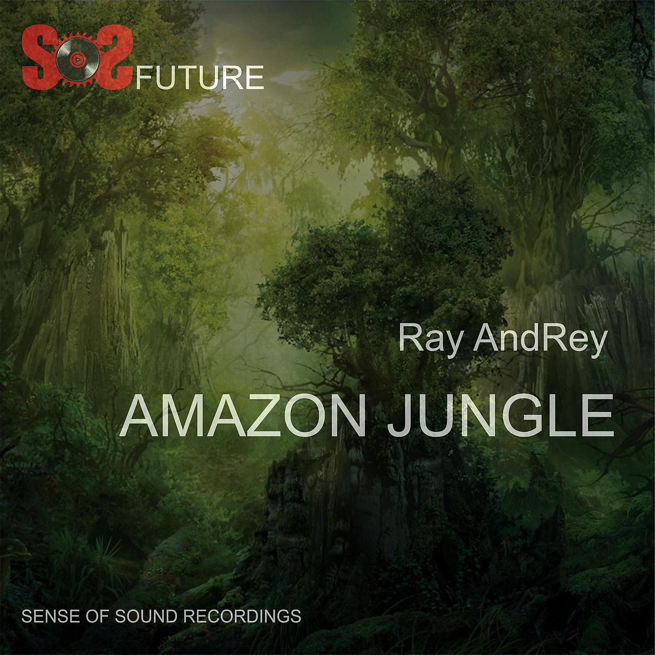 Постер альбома Amazon Jungle