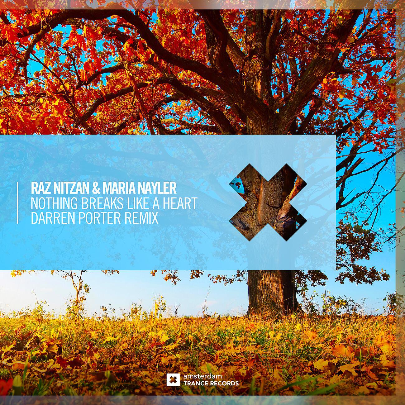 Raz Nitzan - Nothing Breaks Like A Heart (Darren Porter Extended Mix)
