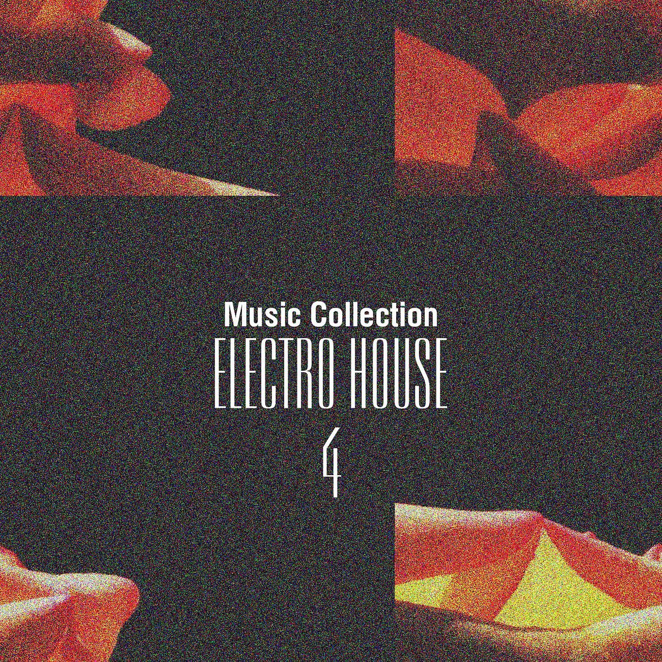 Постер альбома Music Collection. Electro House, Vol. 4