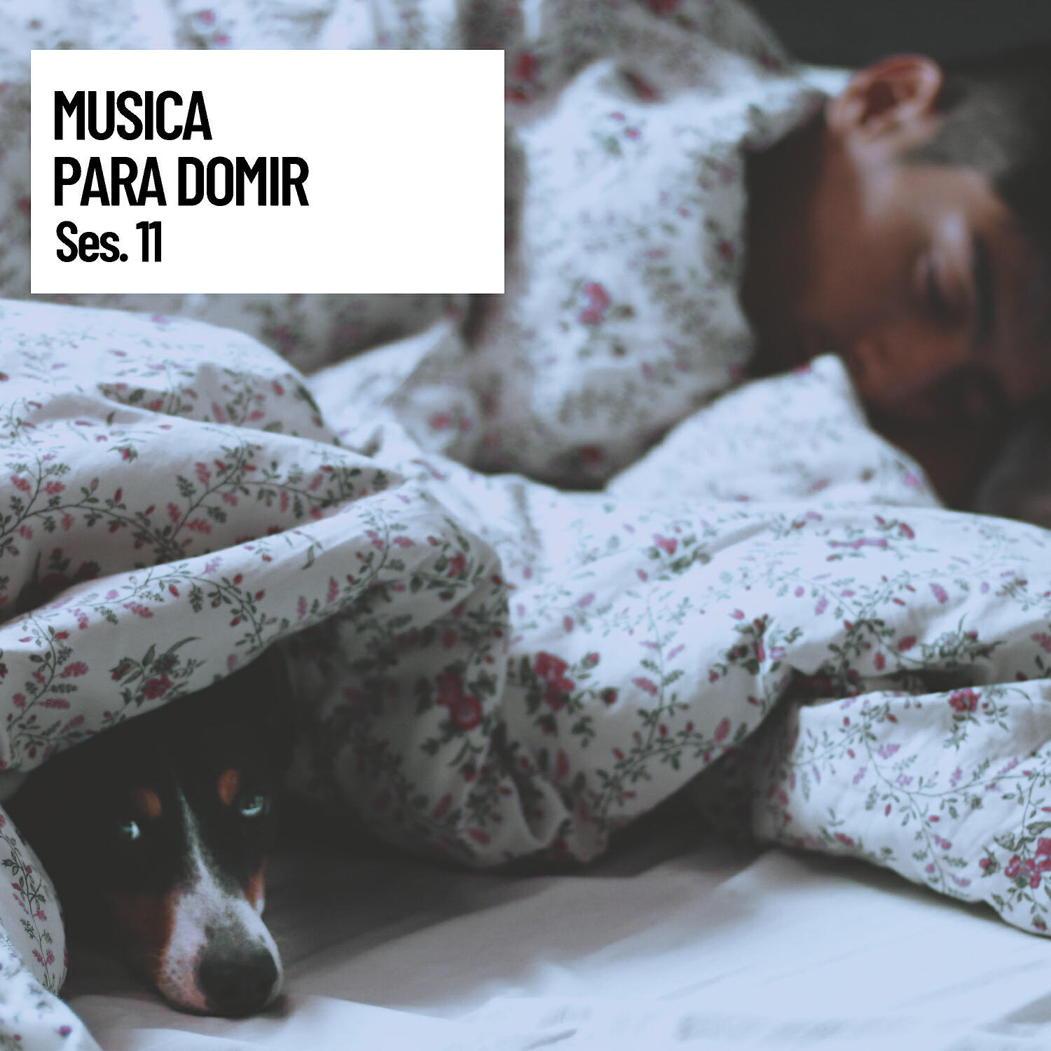 Canticuenticos - Friendly Music