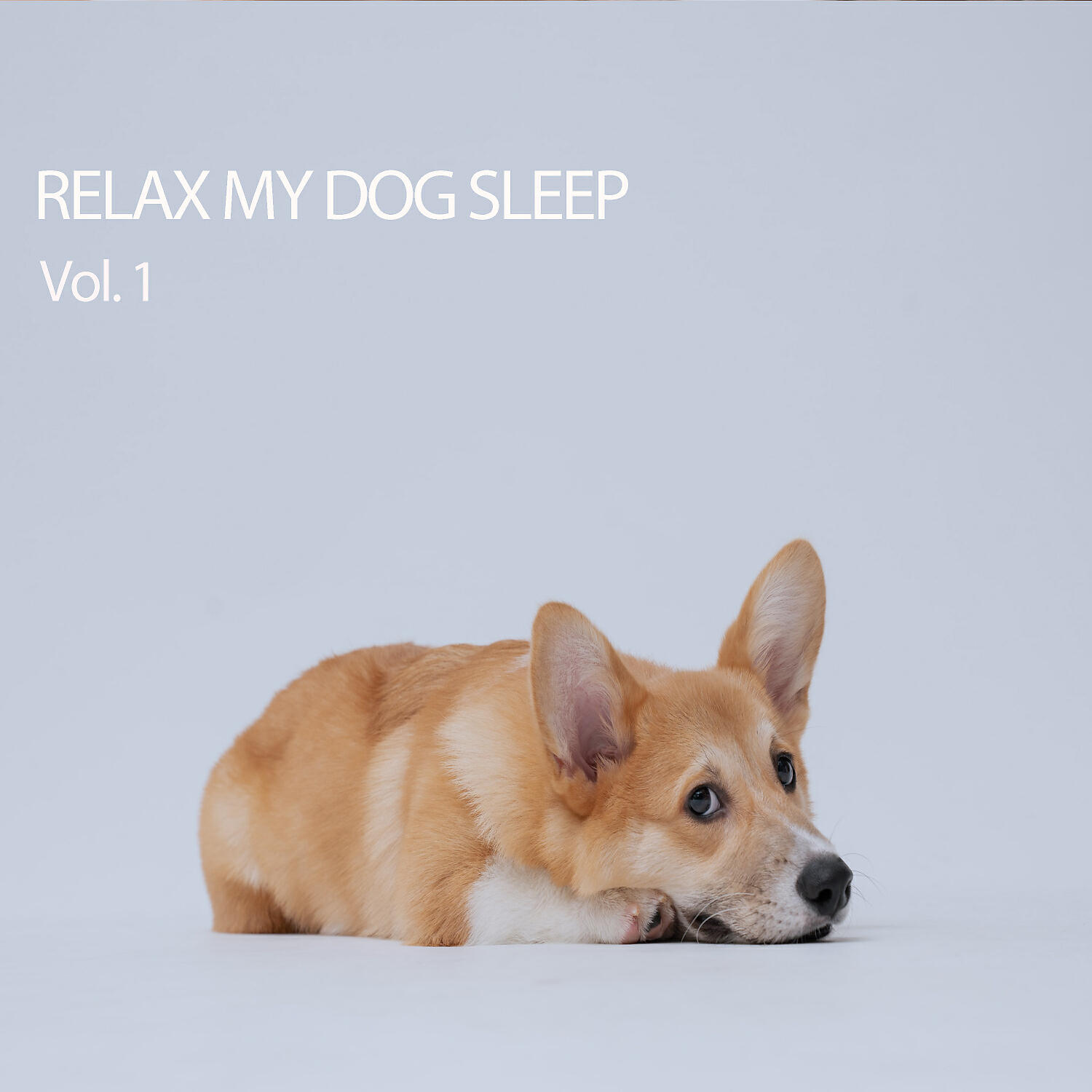 Relaxcation - Dog and His Master
