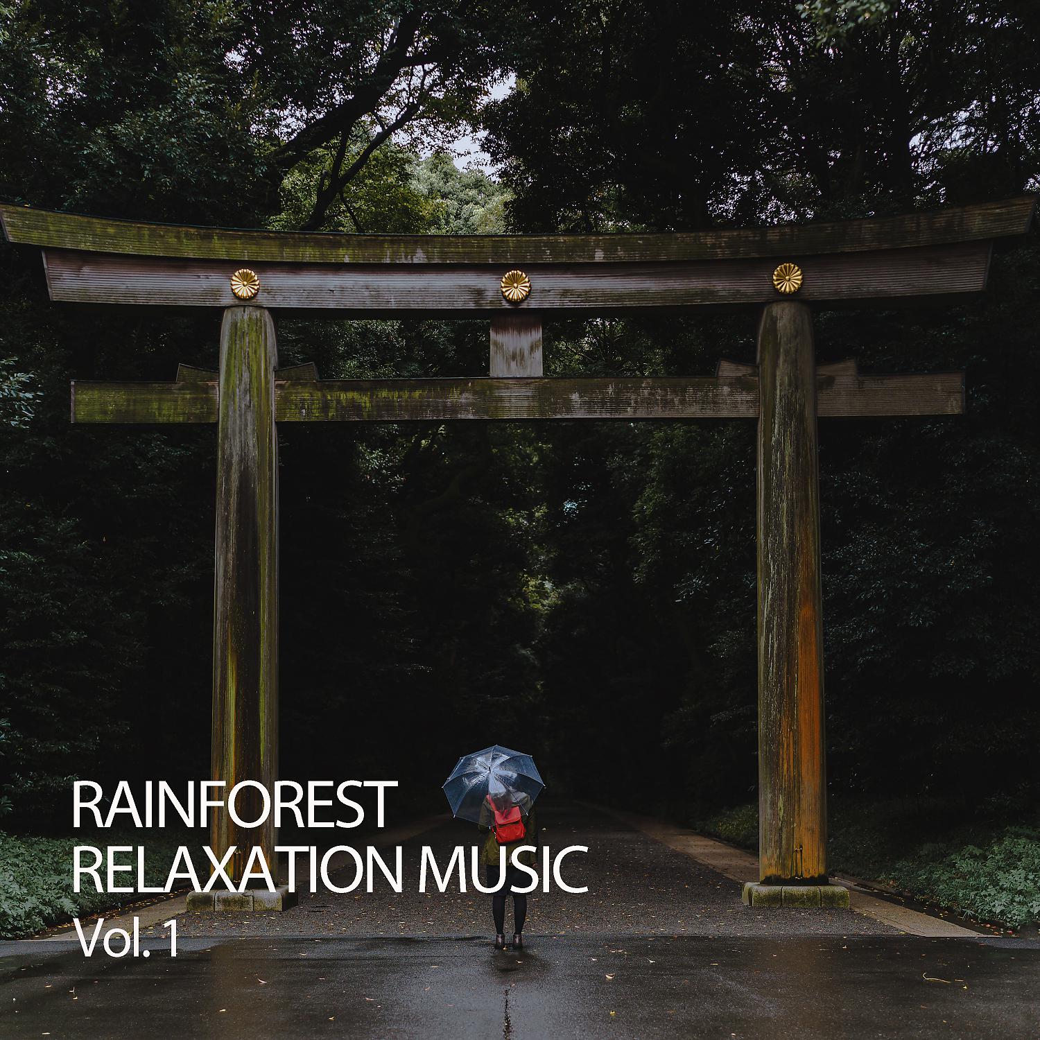 Постер альбома Rainforest Relaxation Music Vol. 1