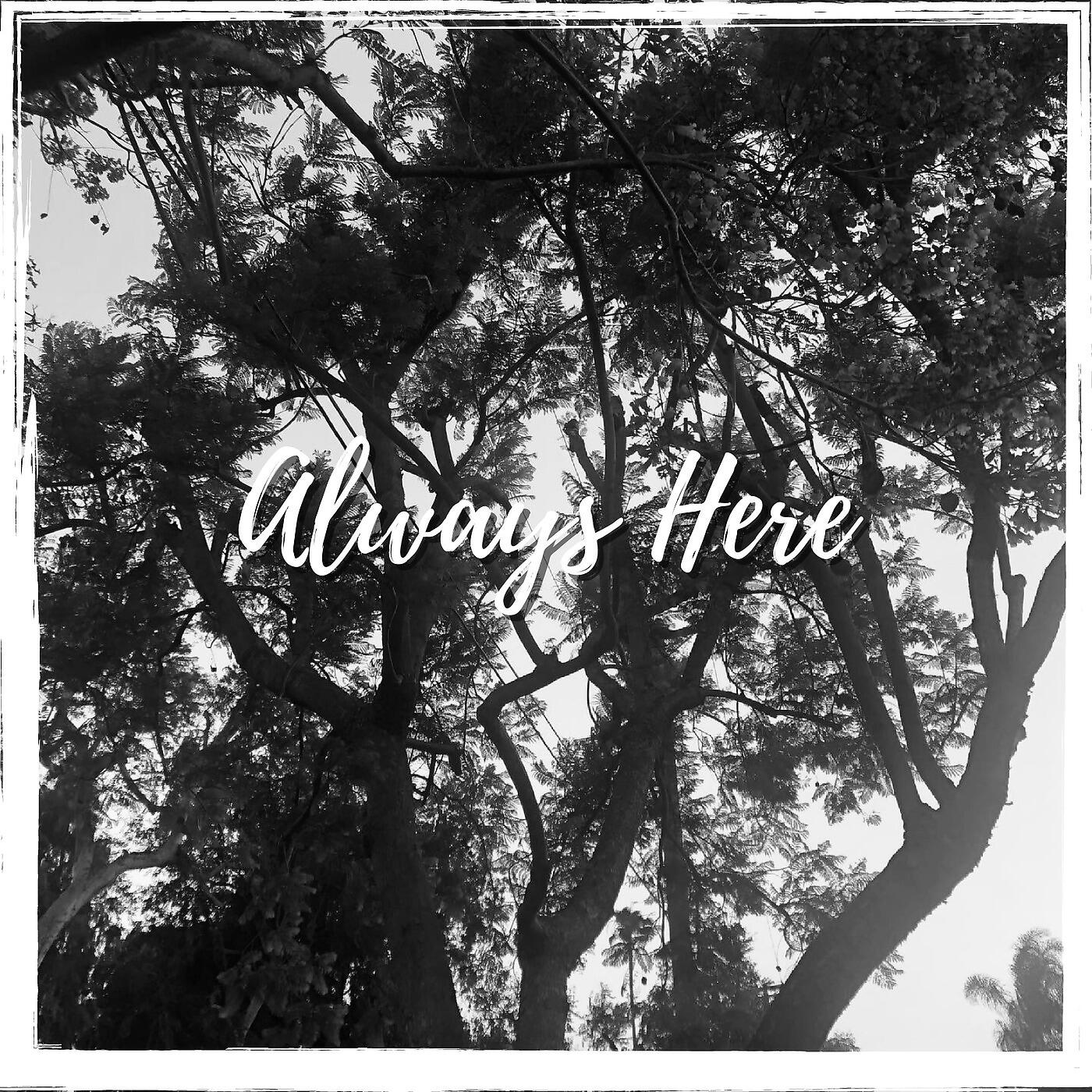 Miho Nomura - Waiting