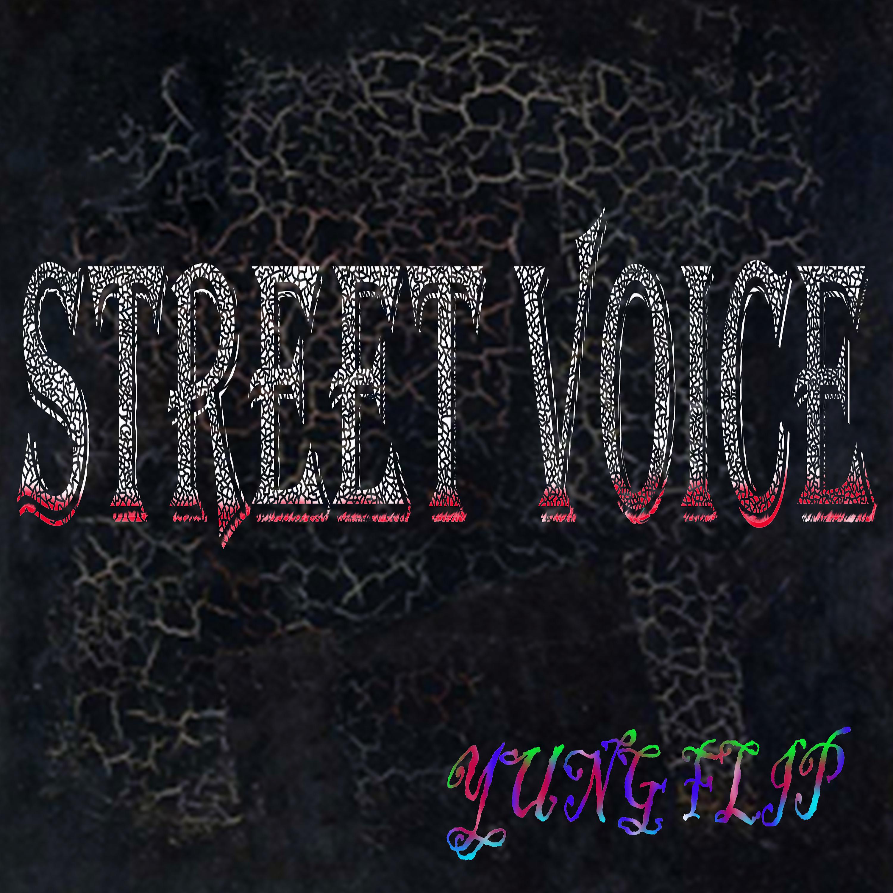 Постер альбома Street Voice