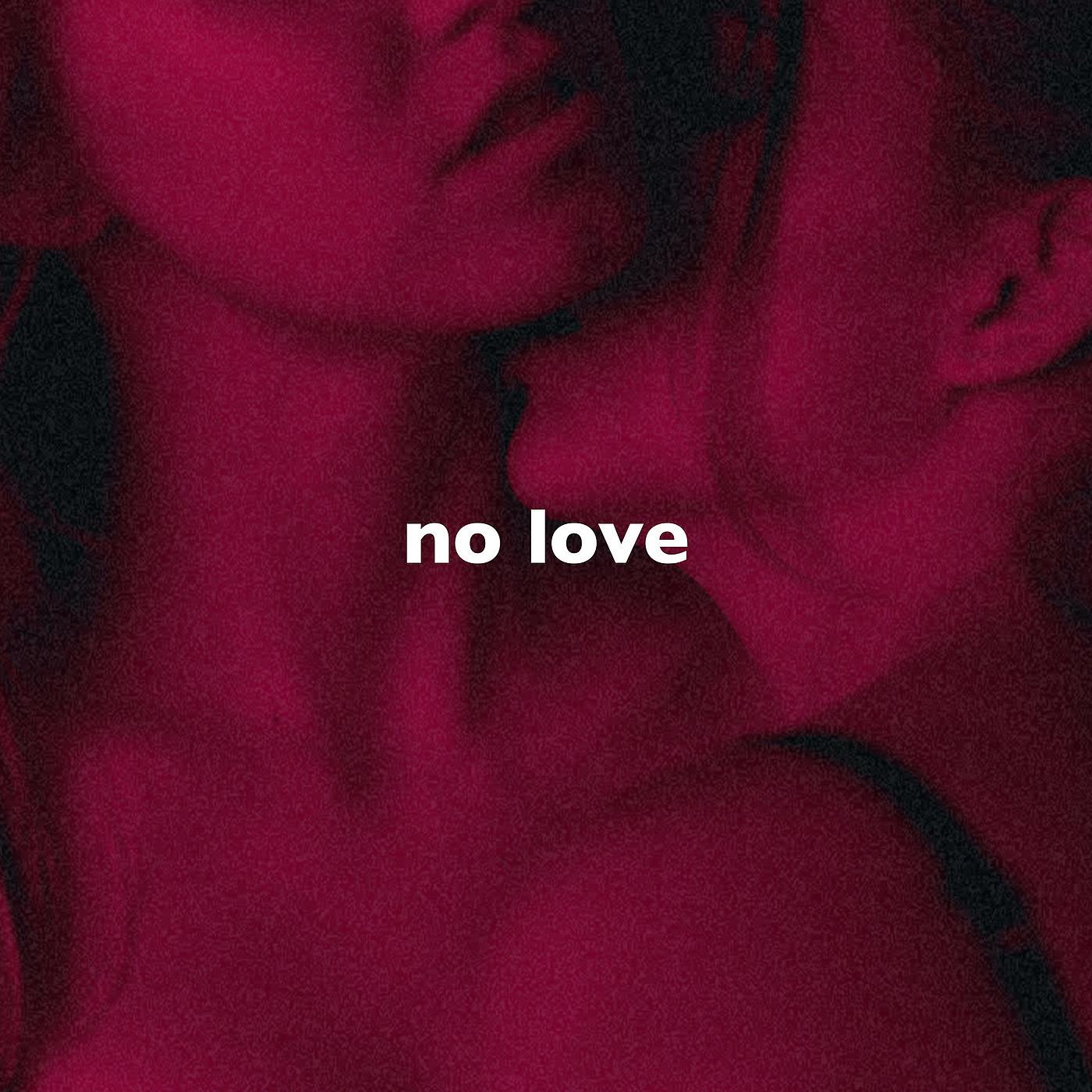 Постер альбома No Love (Slowed + Reverb)