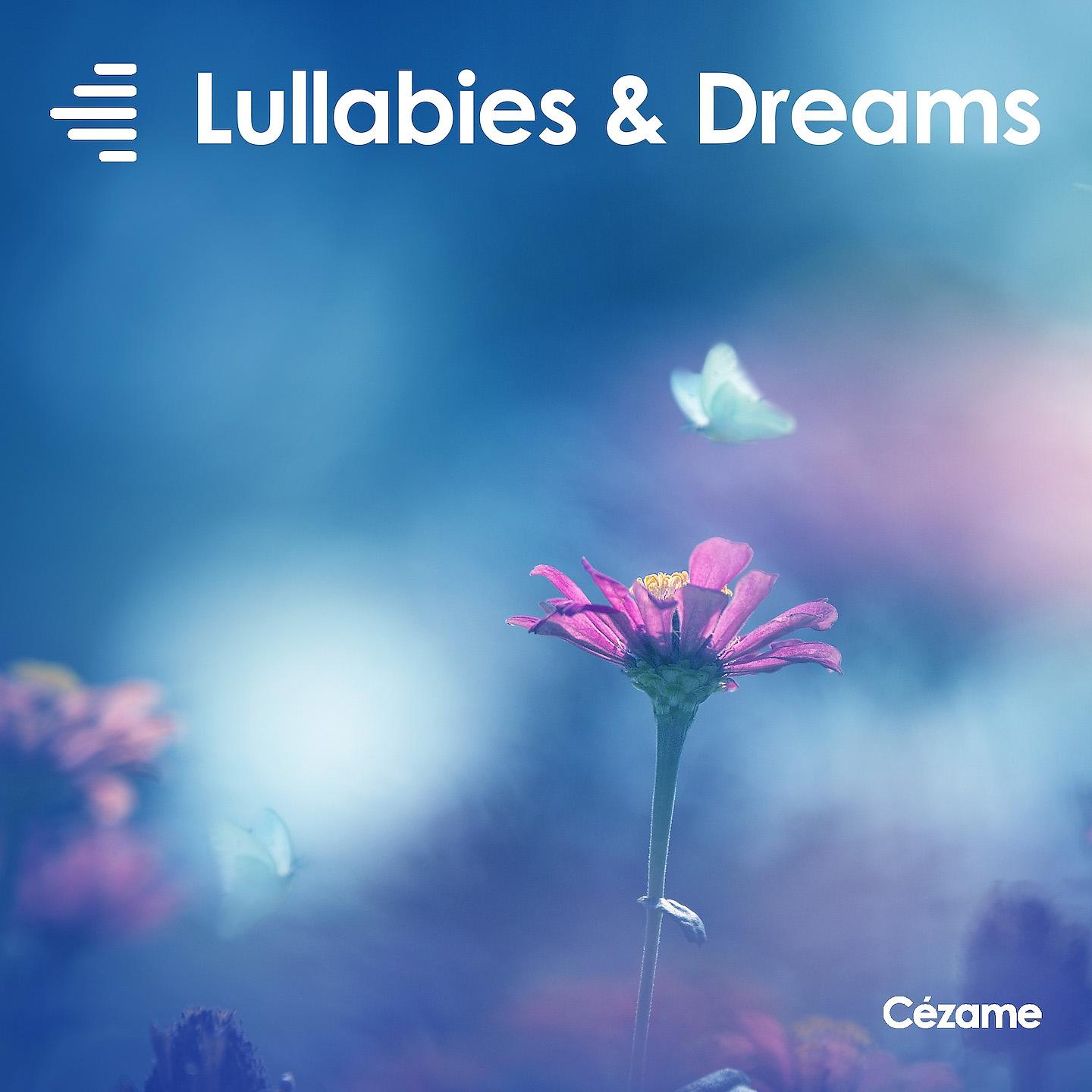 Постер альбома Lullabies & Dreams