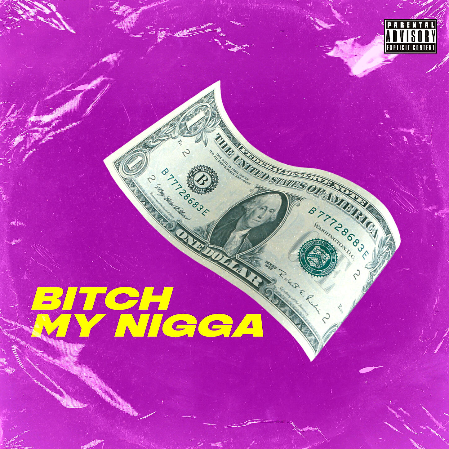 TR - Bitch My Nigga