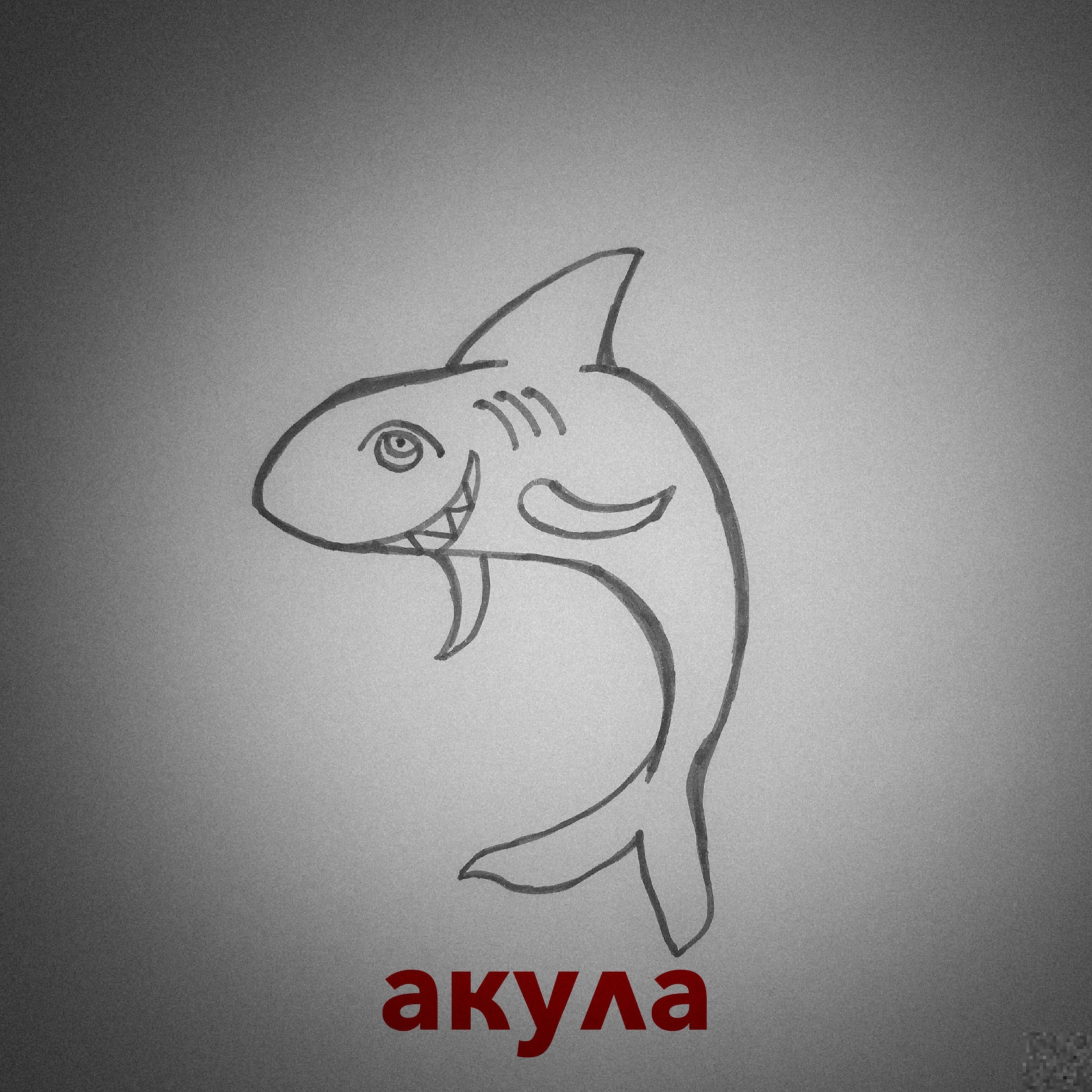 Альбом Акула исполнителя зейм.
