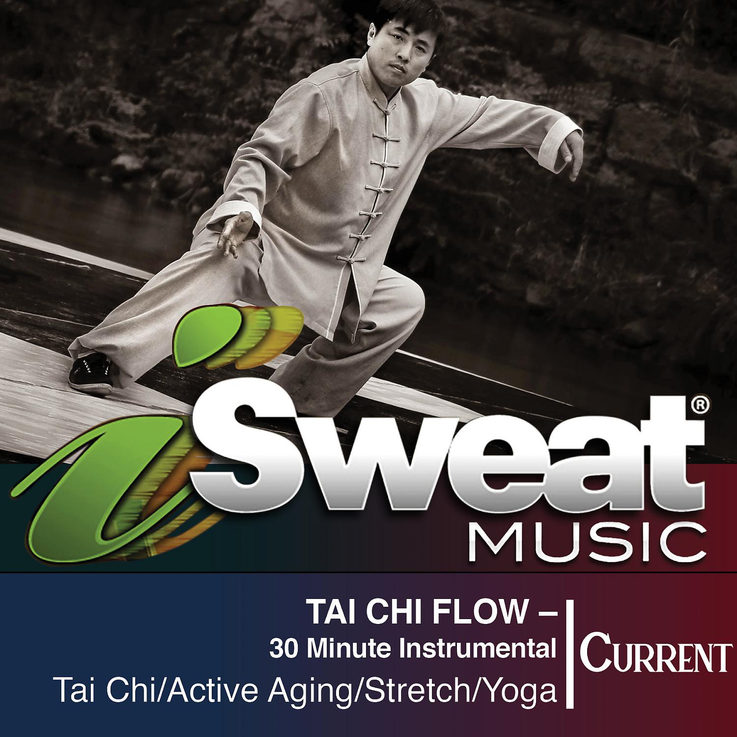 Постер альбома Tai Chi Flow