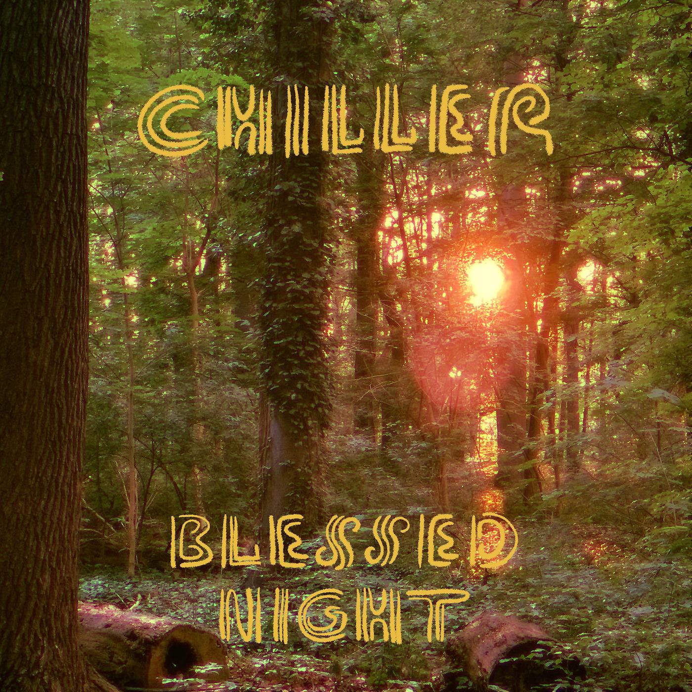 Постер альбома Blessed Night