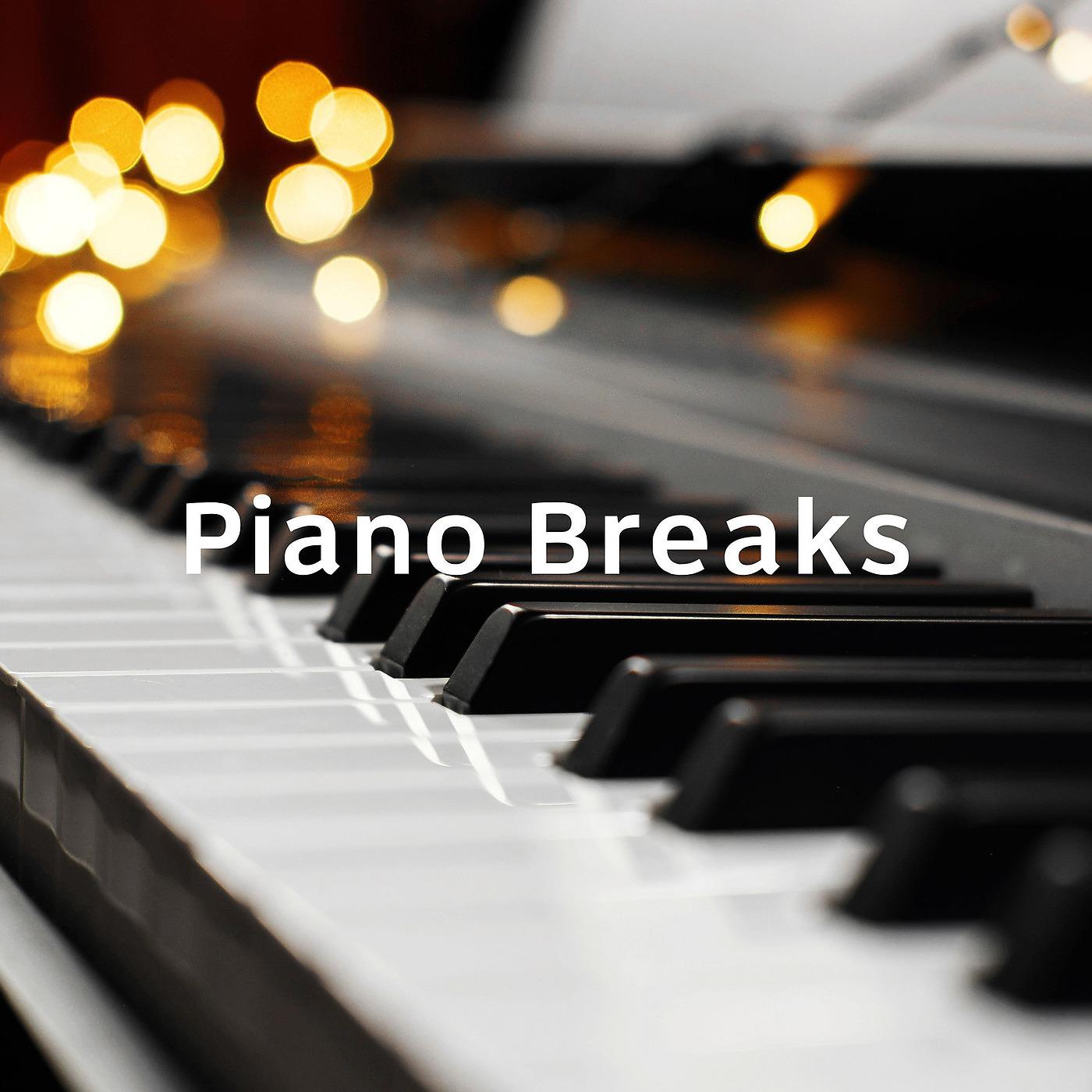 Постер альбома Piano Breaks