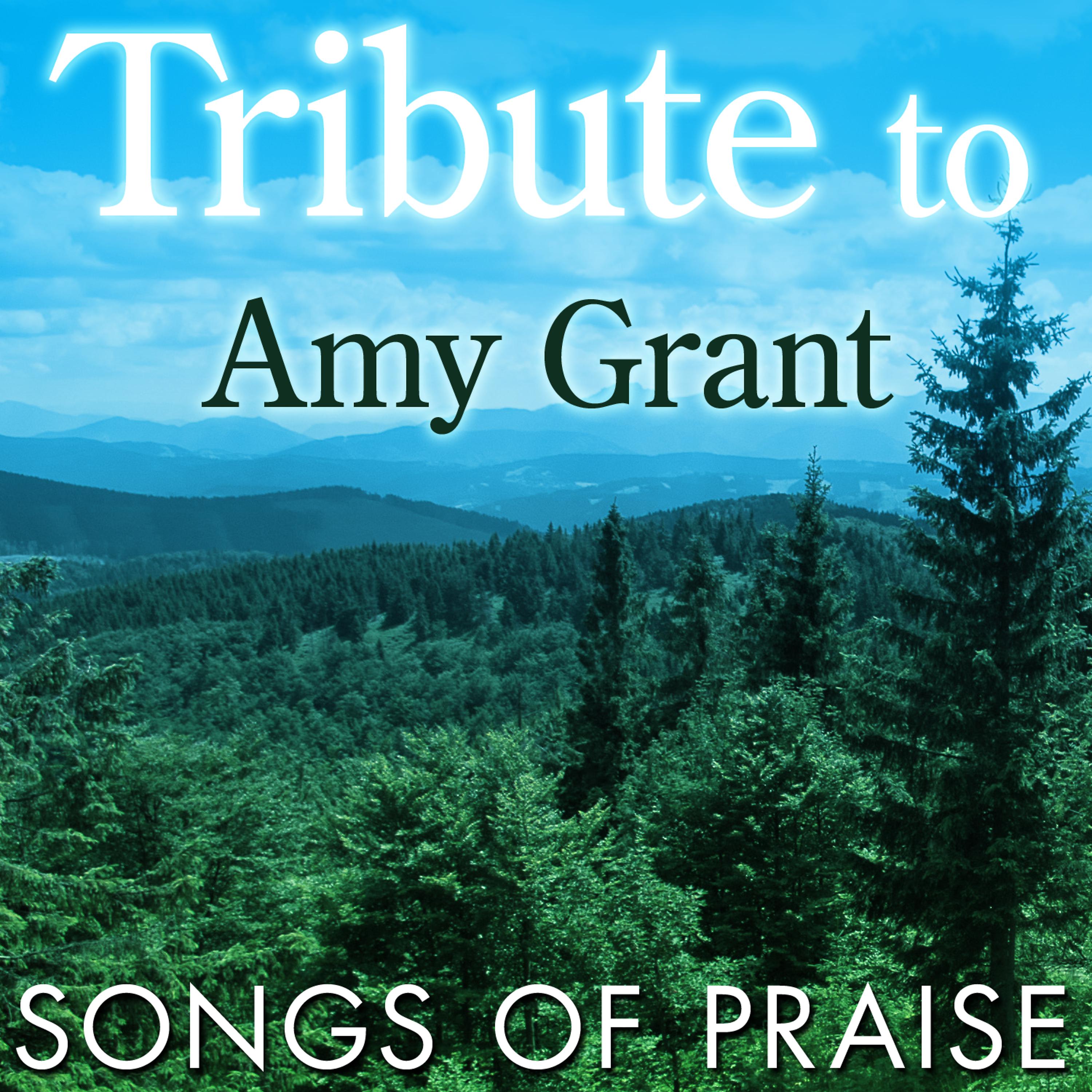 Постер альбома Tribute to Amy Grant: Songs of Praise