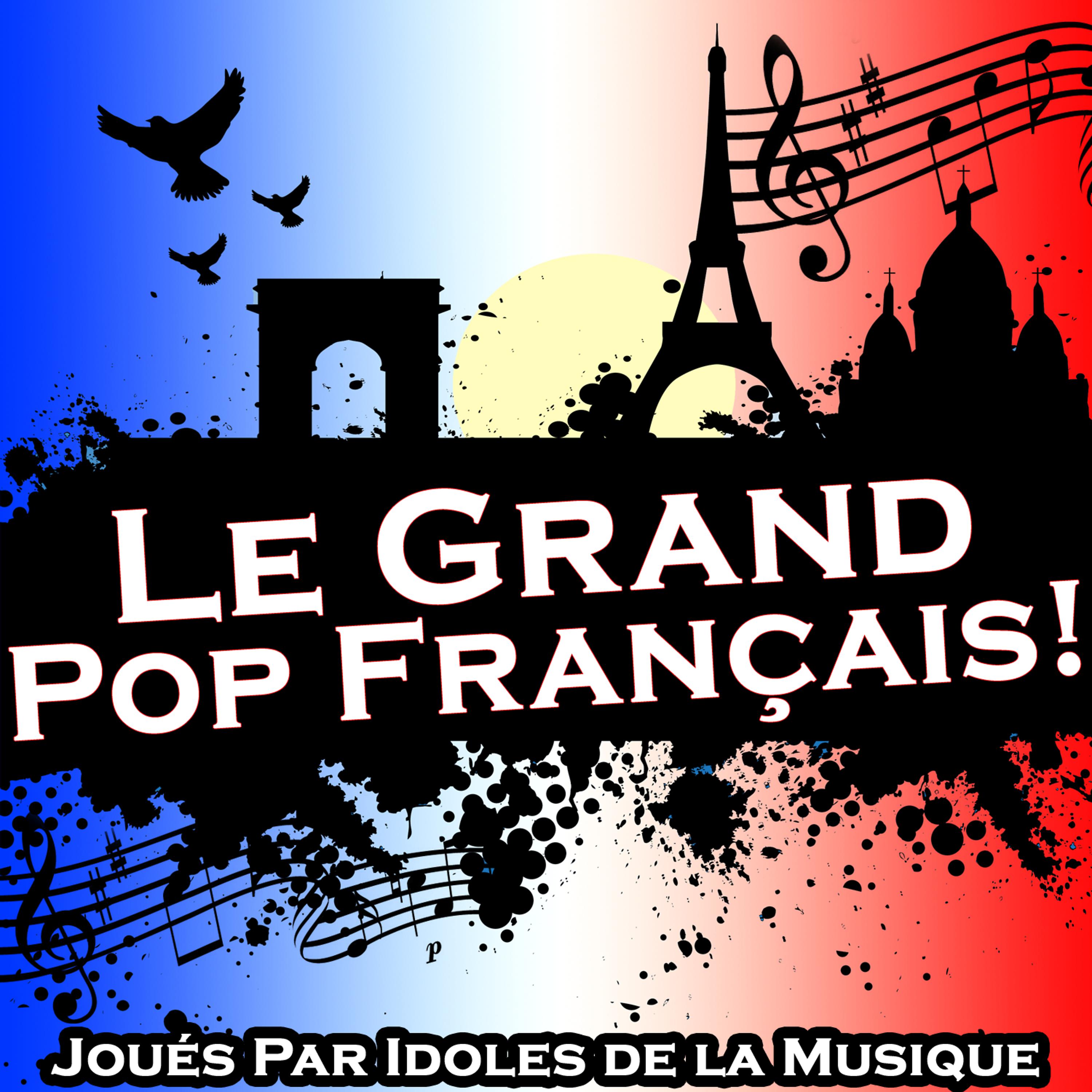 Постер альбома Le Grand Pop Français!