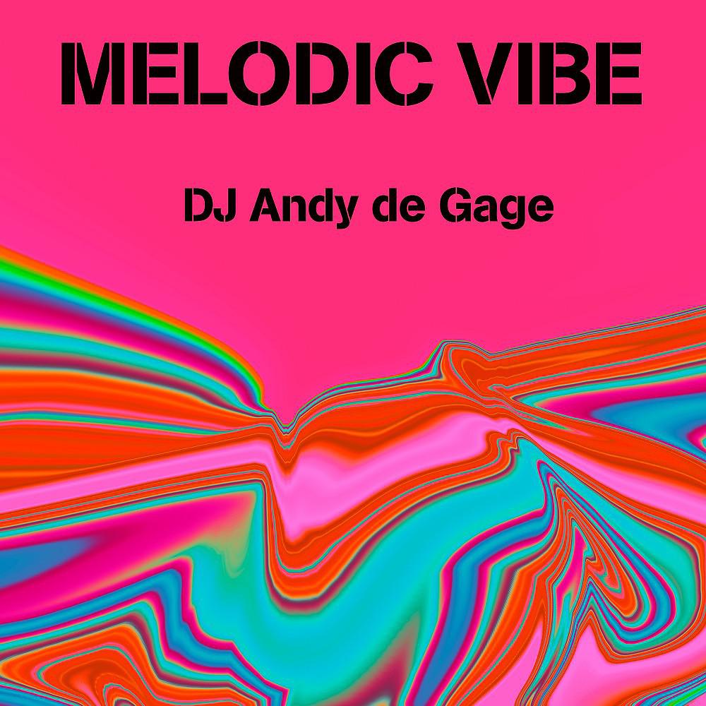 Постер альбома Melodic Vibe