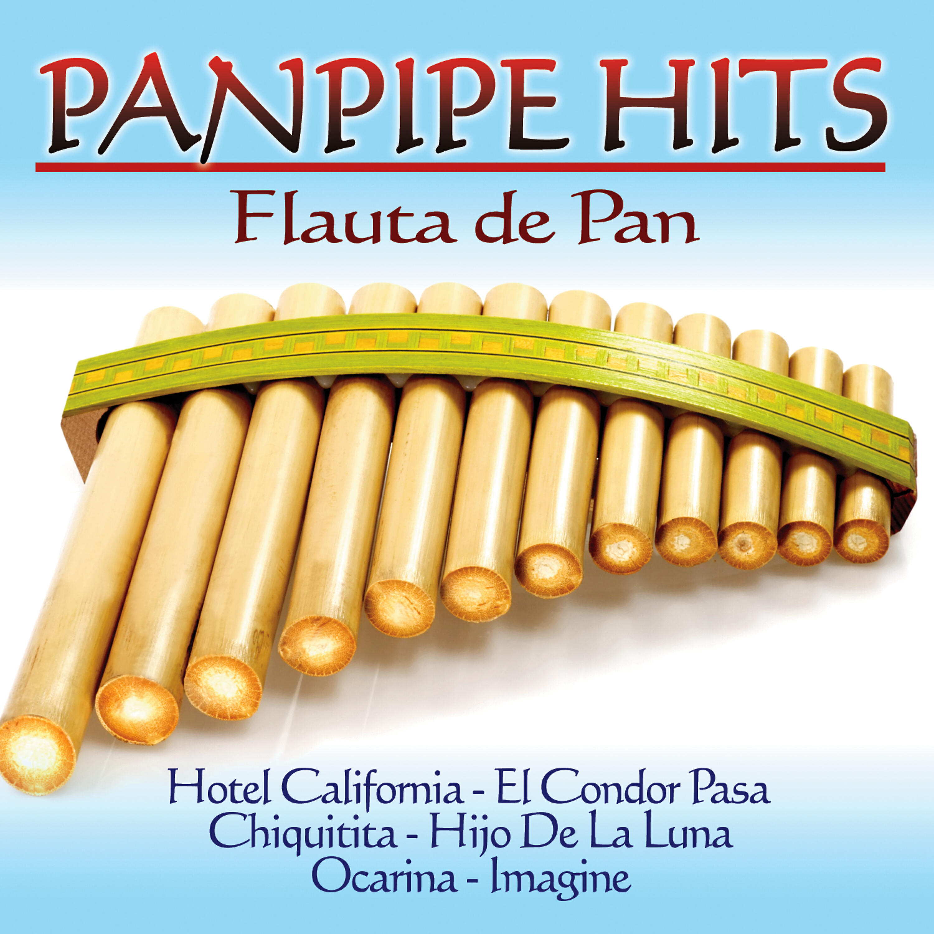 Marco Vinicio - Ocarina (Panflute version)