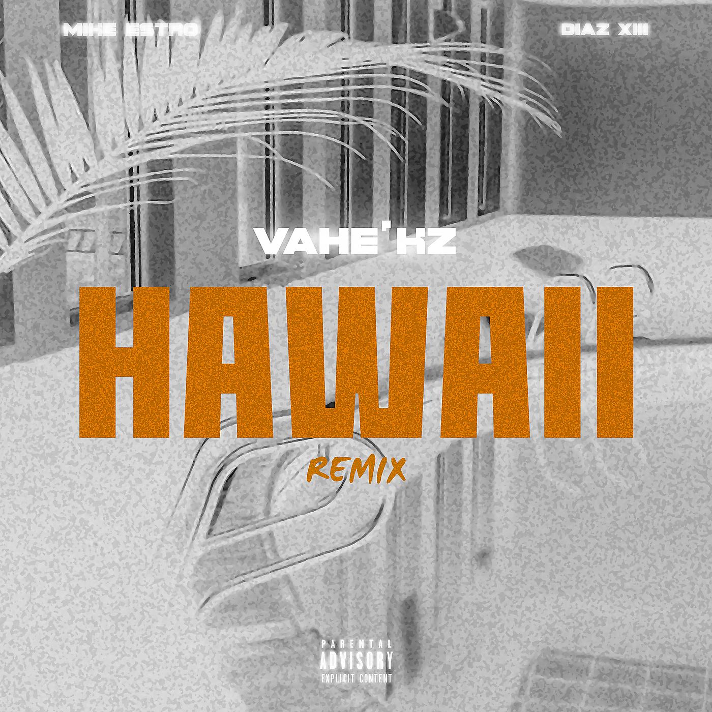 Постер альбома Hawaii (Remix)