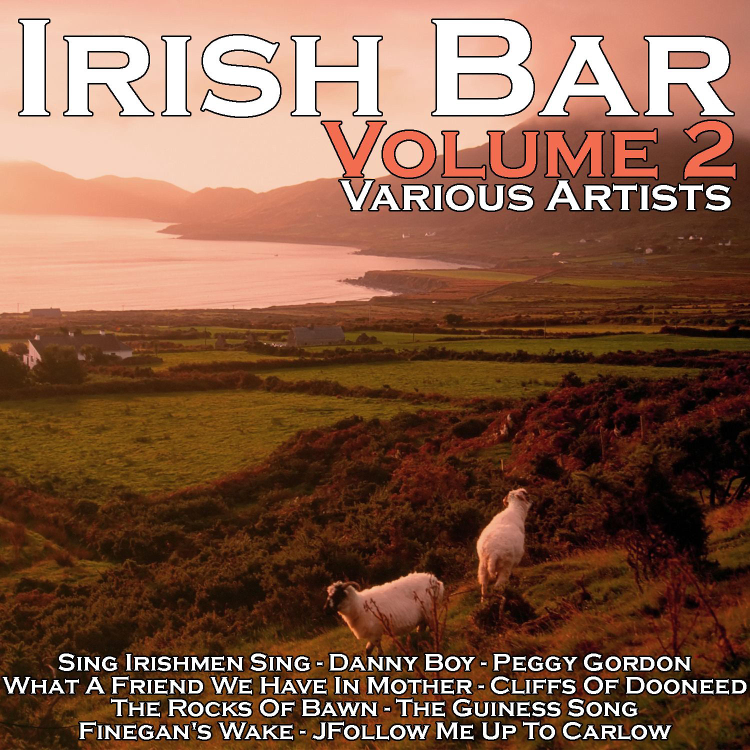 Постер альбома Irish Bar Volume 2