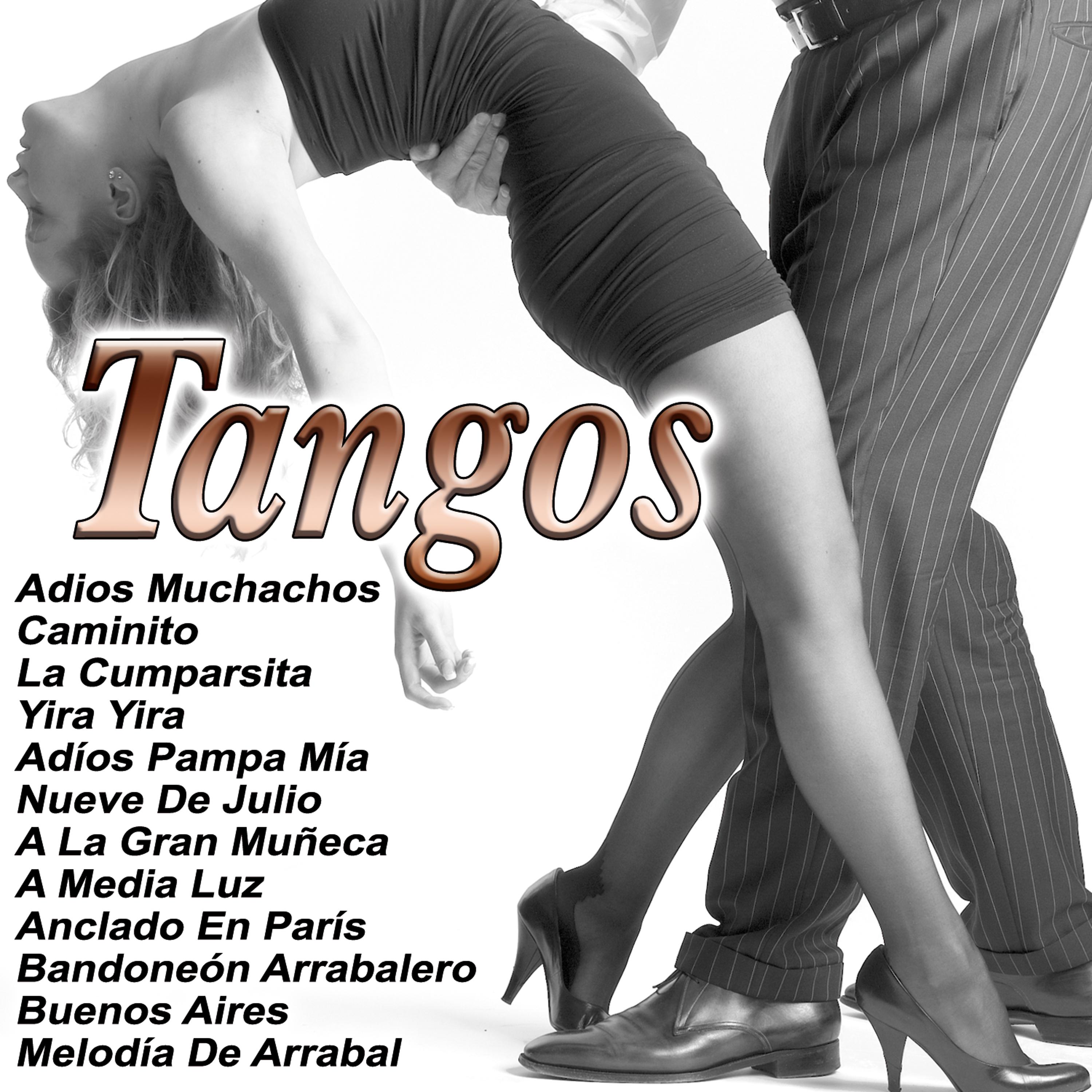Постер альбома Tangos los 25 mejores
