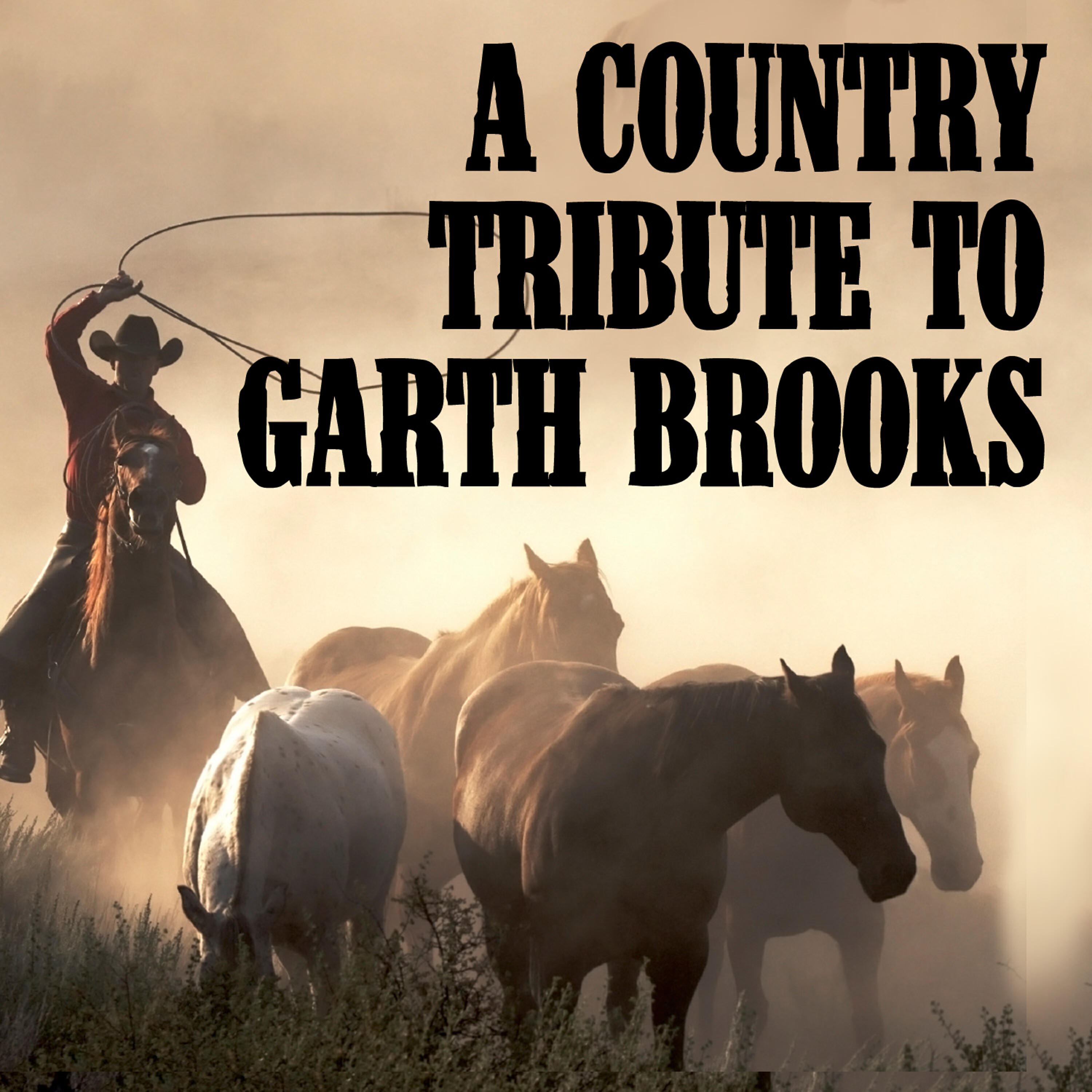 Brooks Stars Garth - Against the Grain
