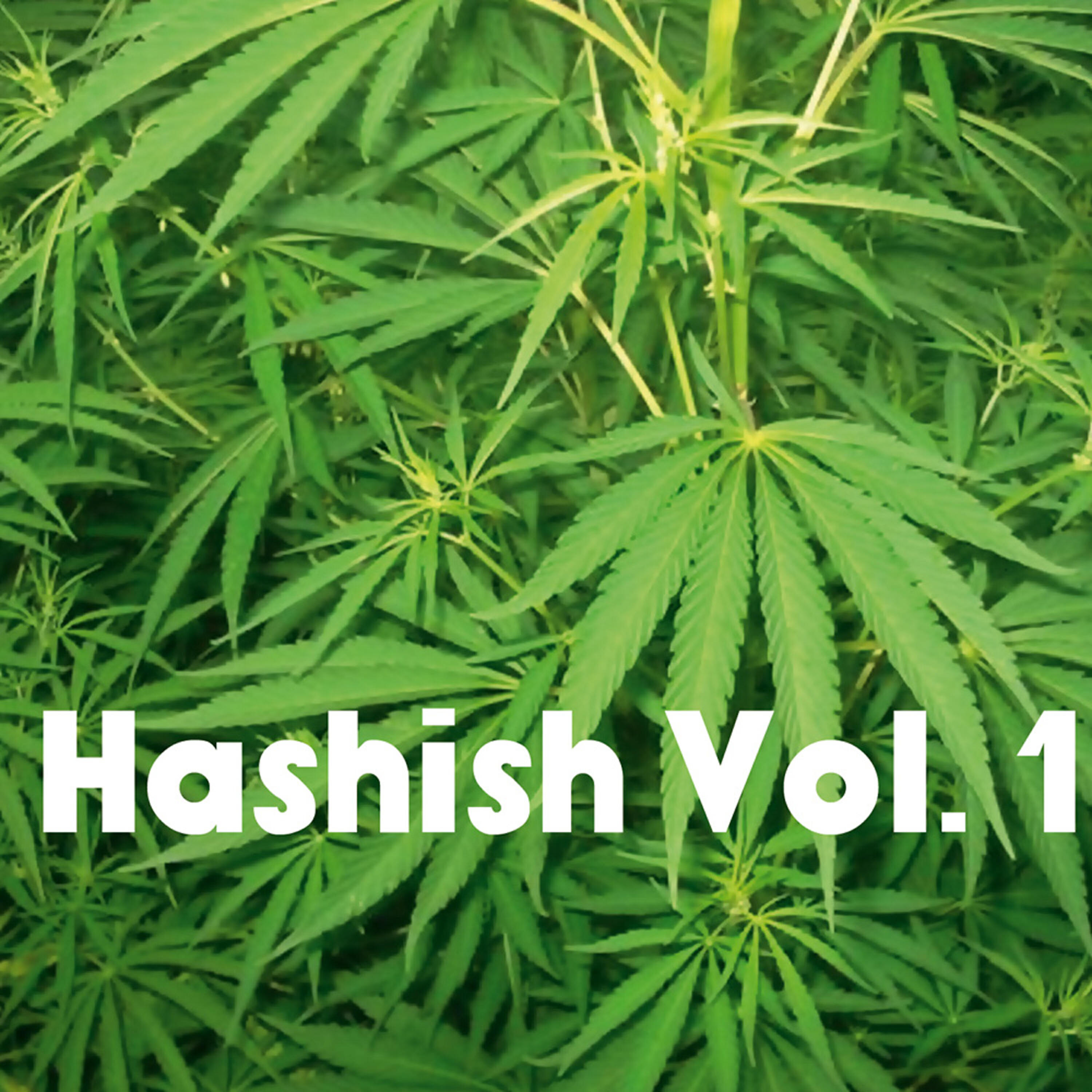ROZA ESKENAZI - I Hasiklou - The Hash Lady
