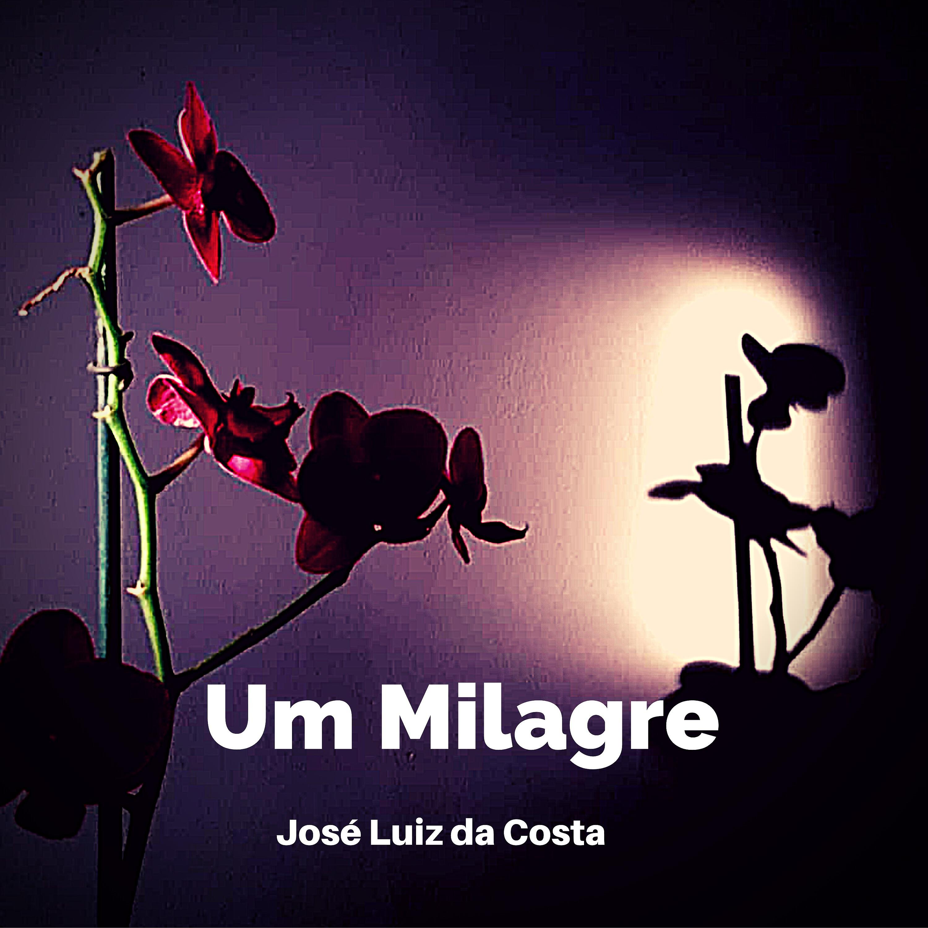 QUIULAS - Amado Jesus