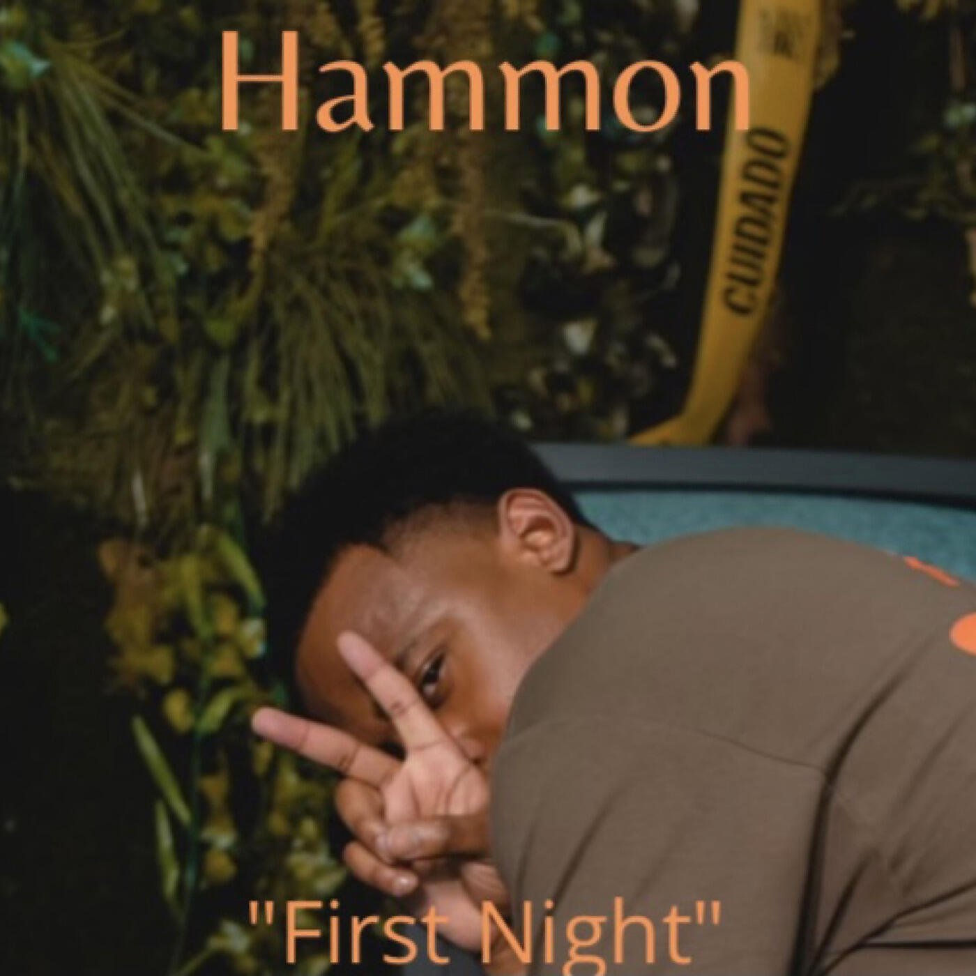 Hammon - First Night