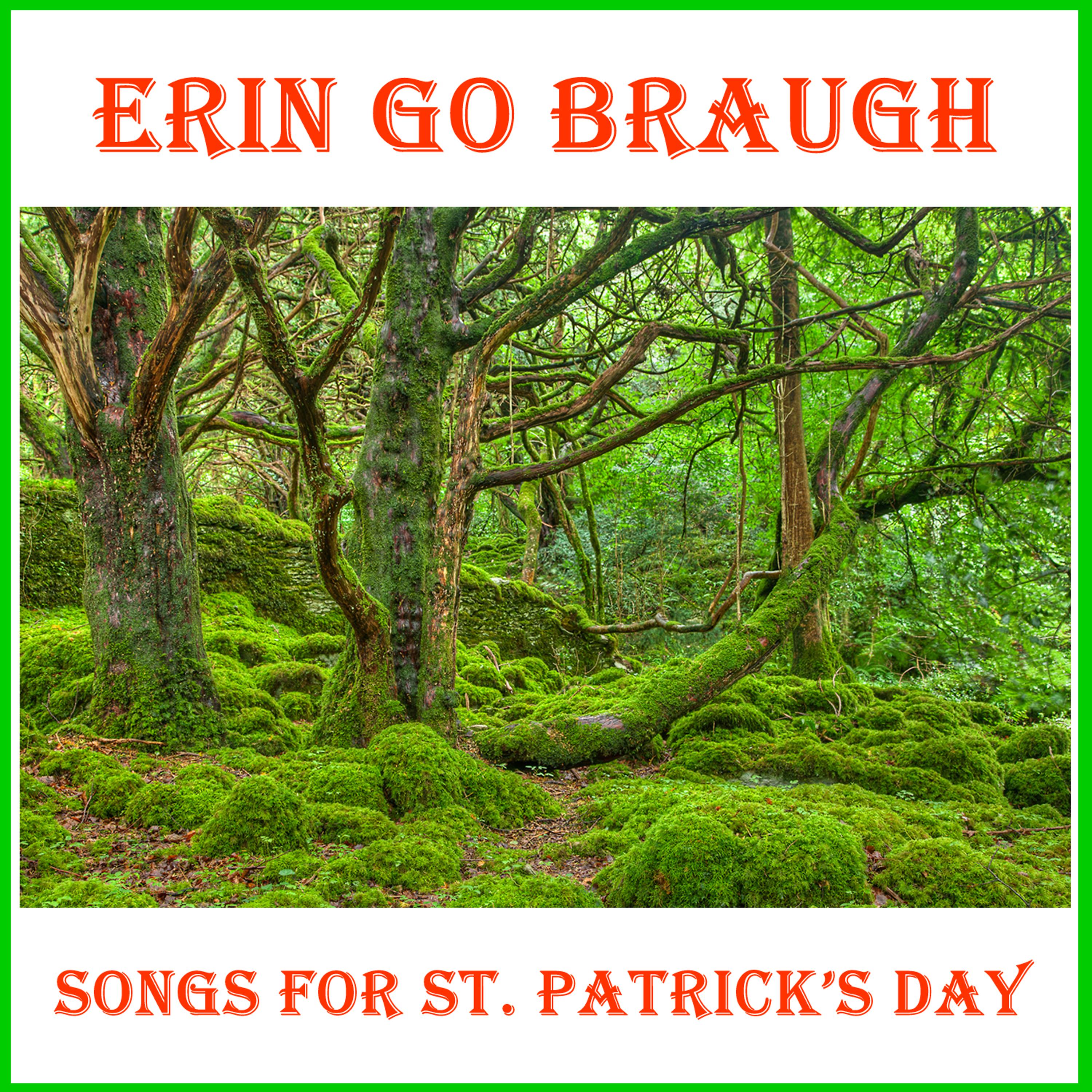 Постер альбома Erin Go Braugh