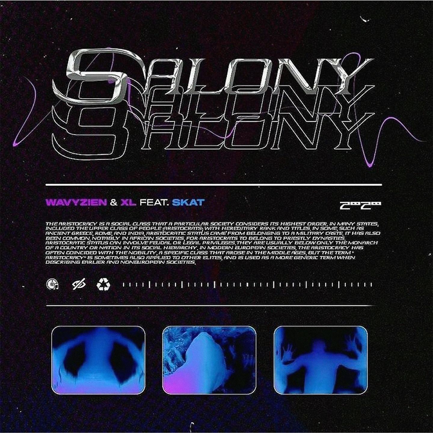 Постер альбома Salony