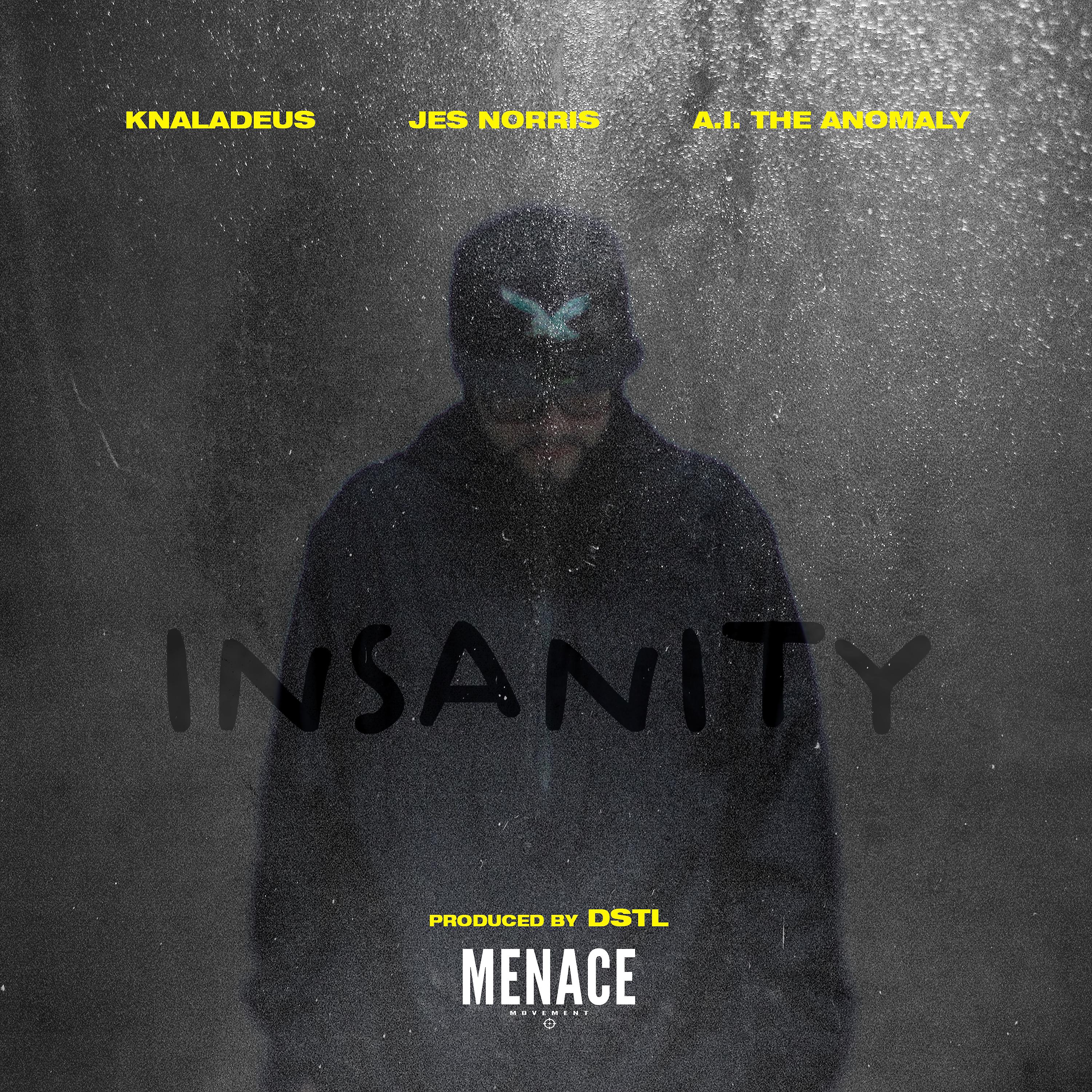 Постер альбома Insanity (feat. A.I. The Anomaly, Jes Norris)