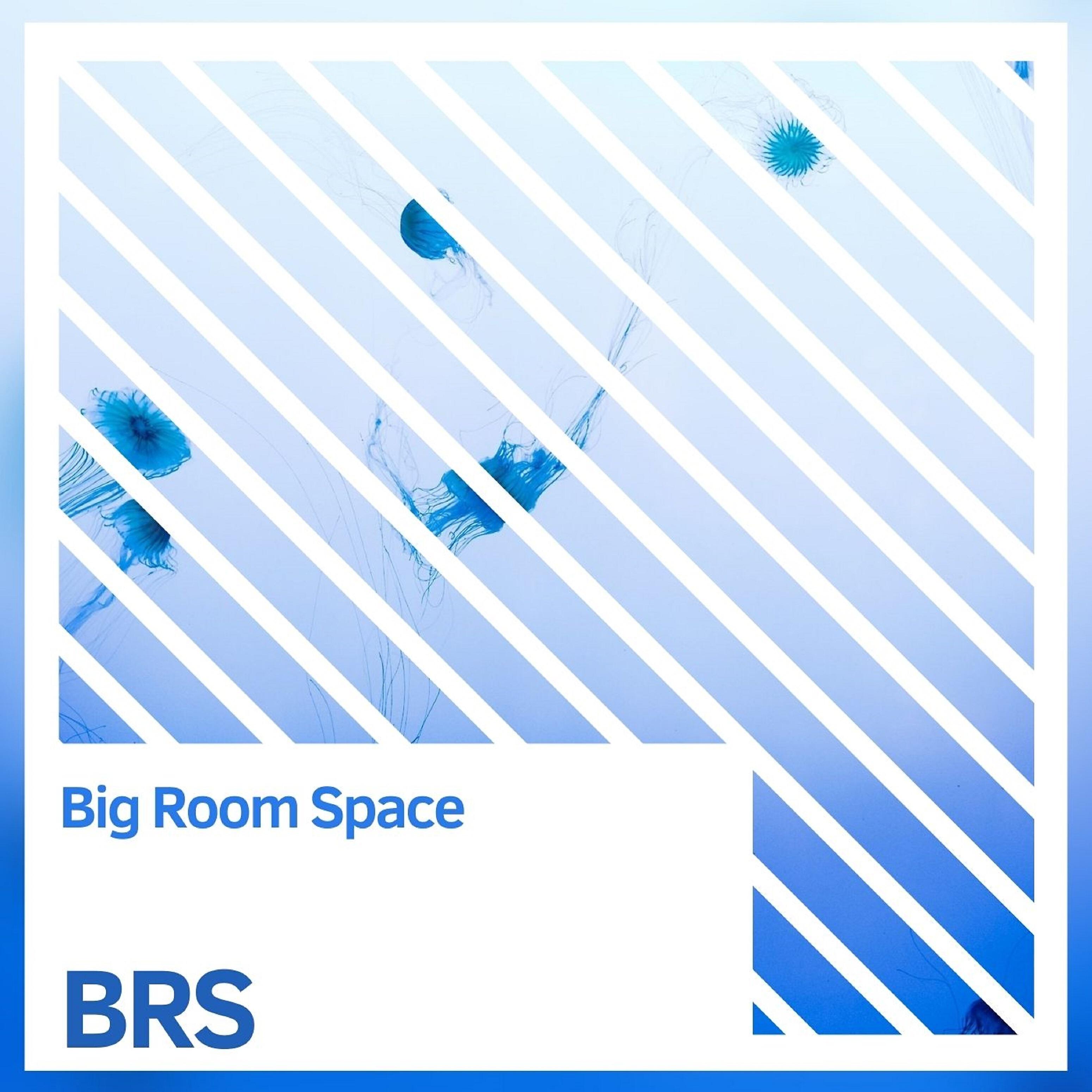 Big Room Space - Brs