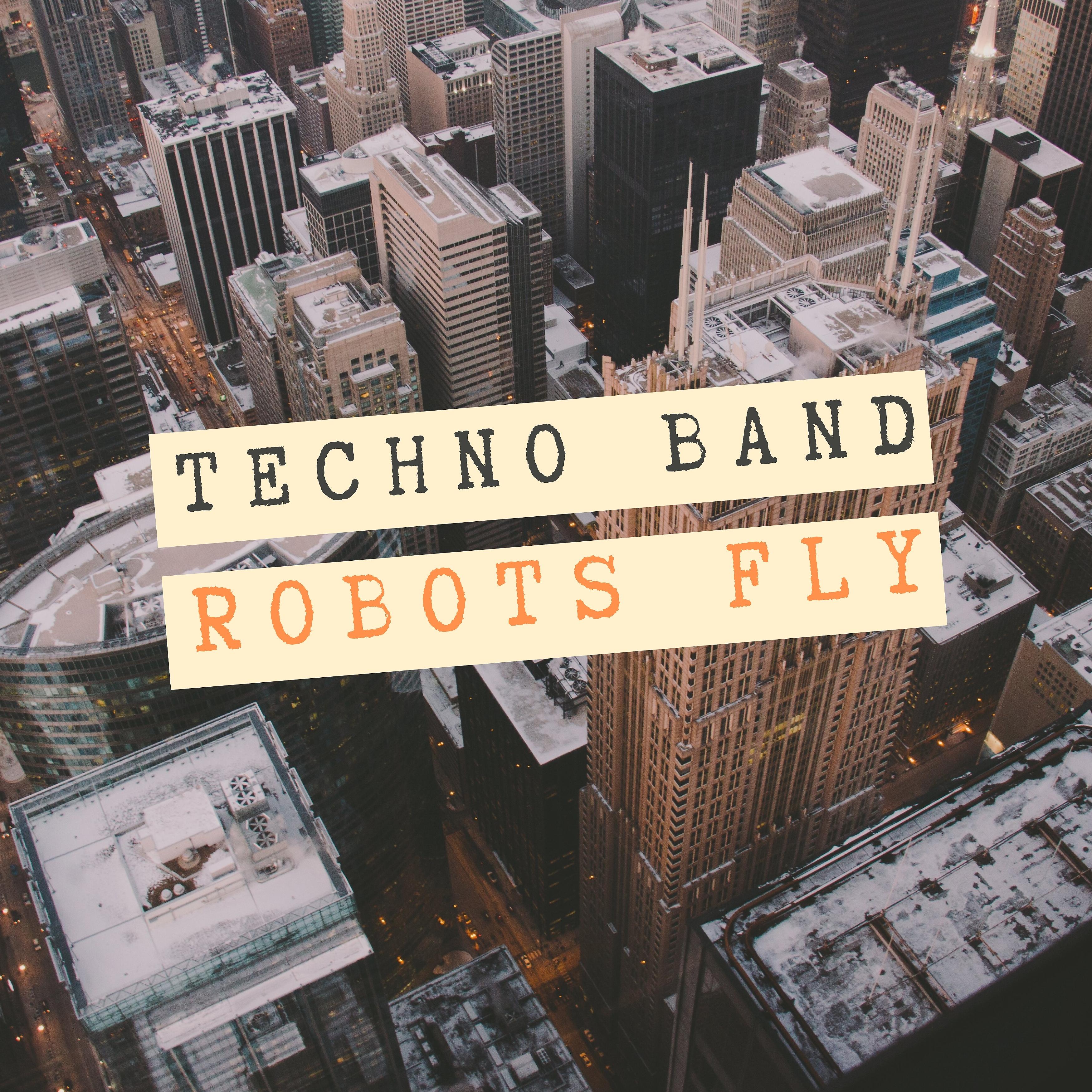 Постер альбома Robots Fly